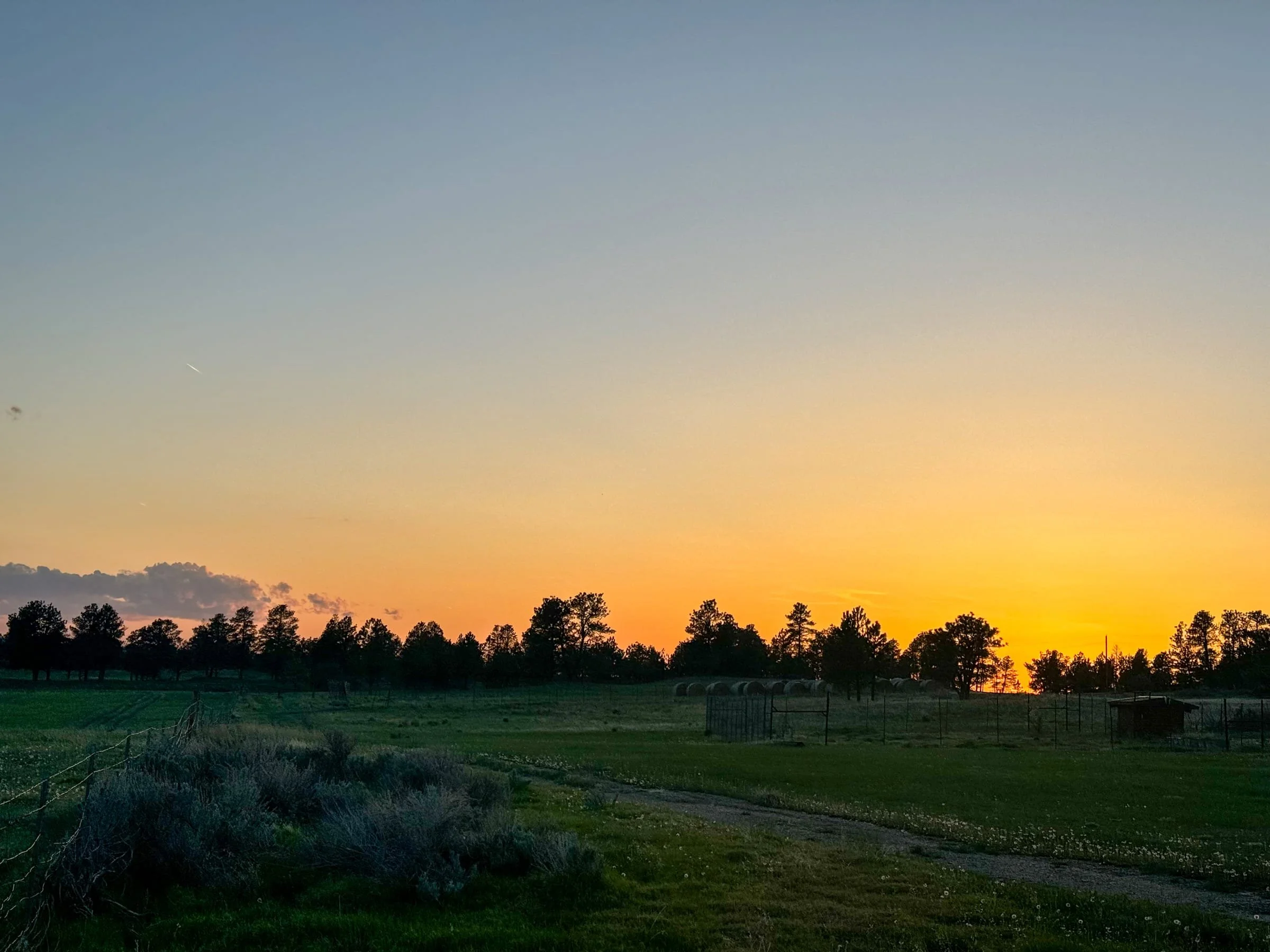A rural landscape during sunset with a clear sky, distant trees lining the horizon, and green fields in the foreground.