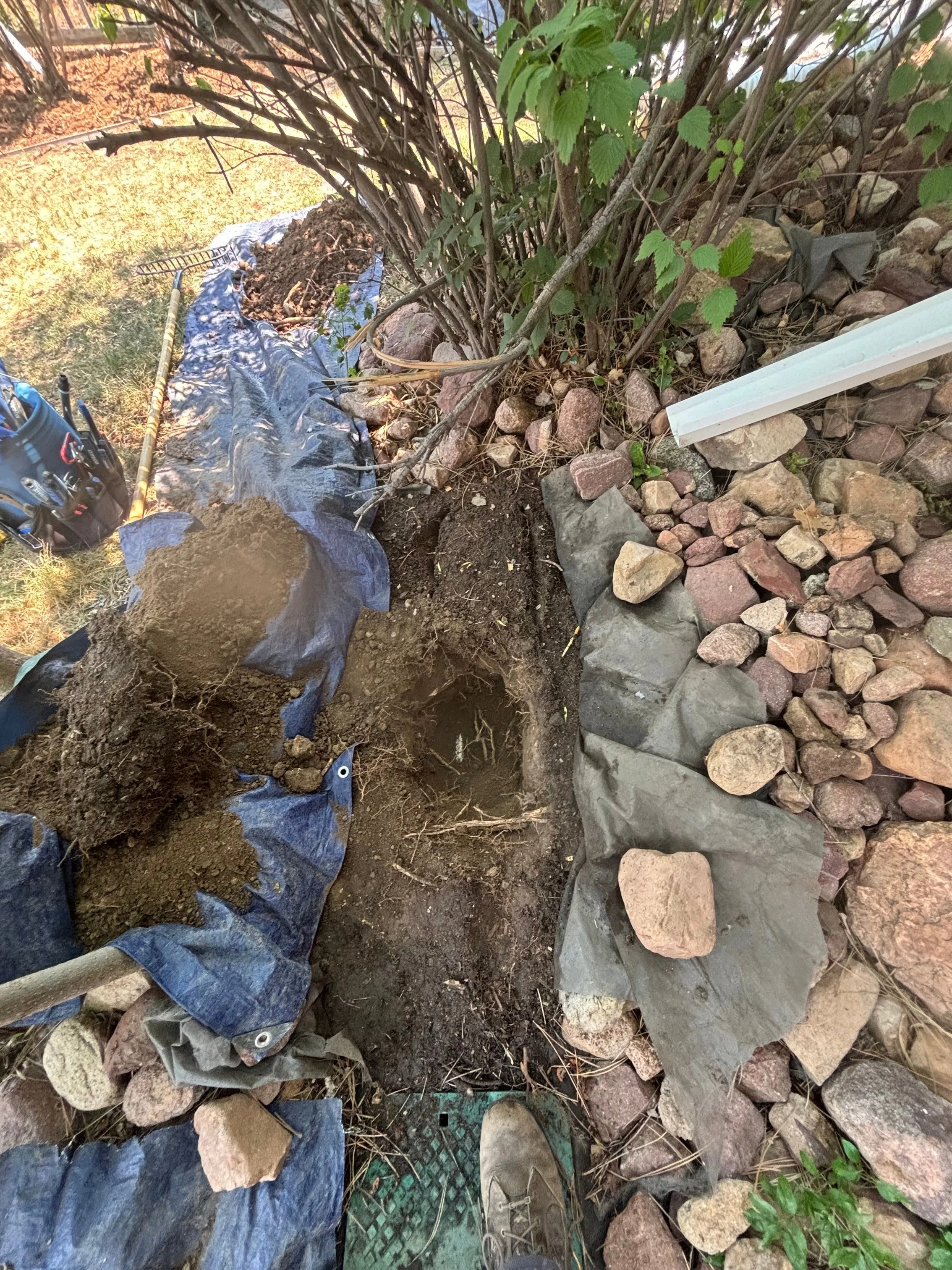 Optimize Irrigation 1001