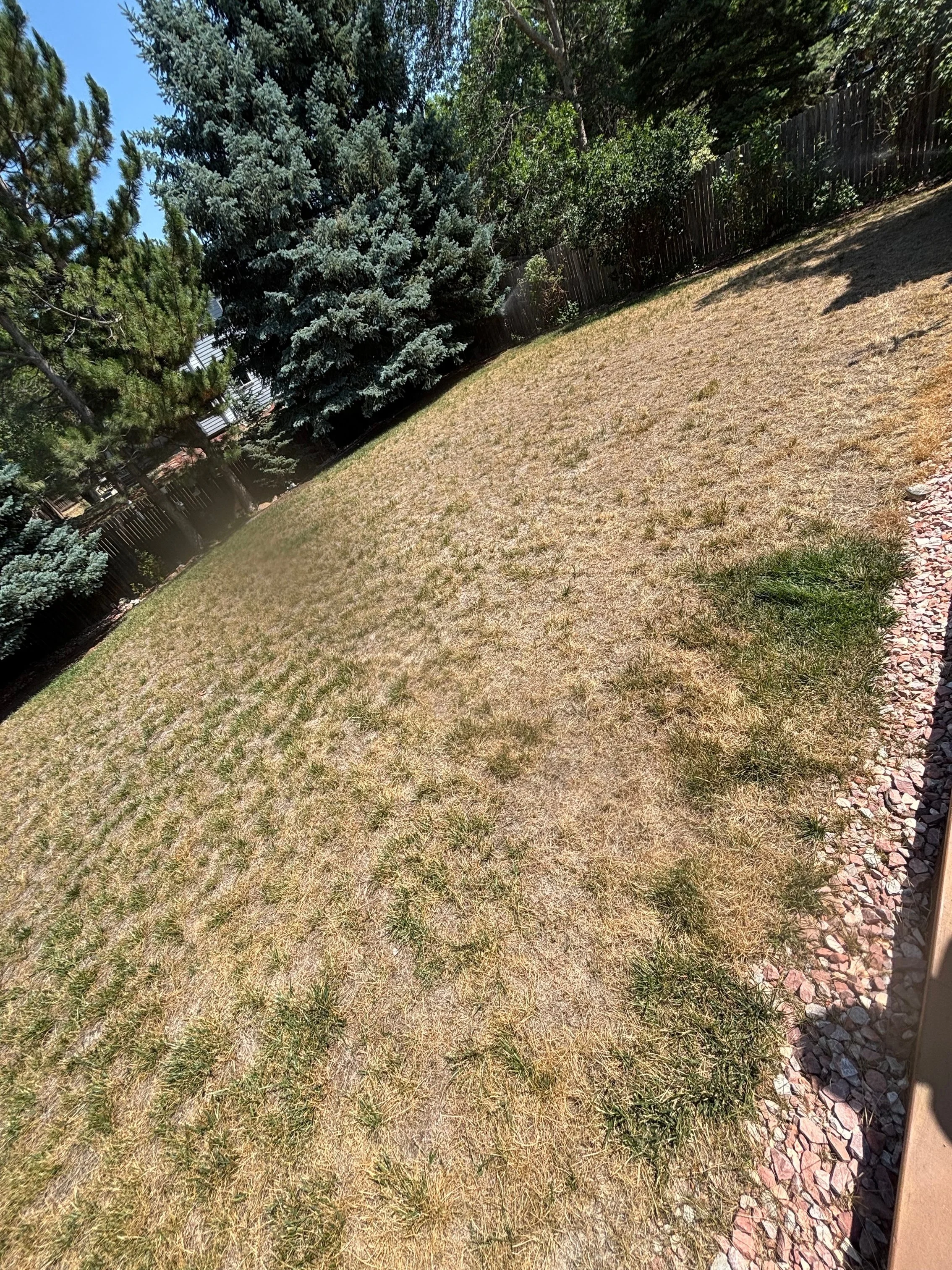Optimization 101