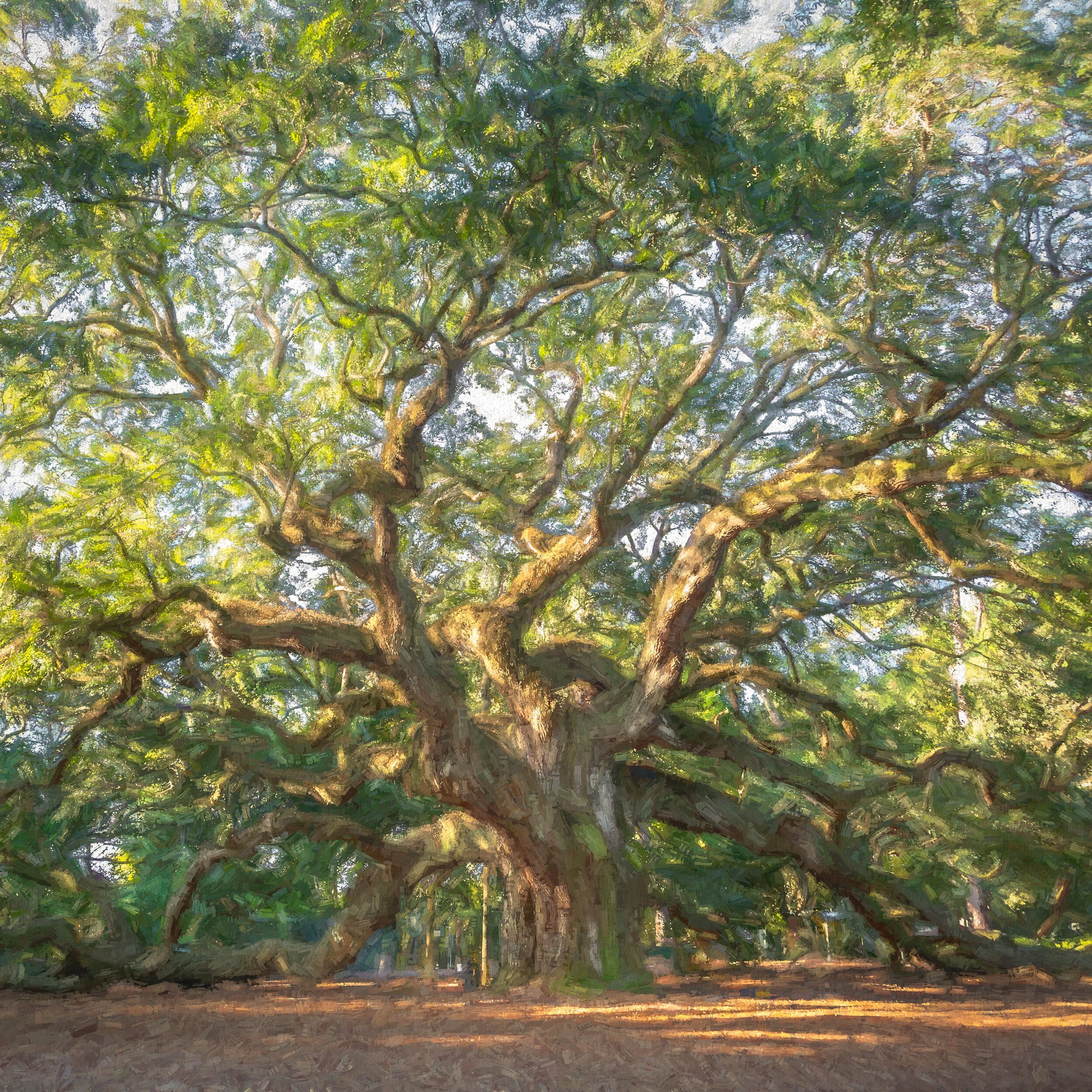 Kathy.Watson;Johns Island.jpg
