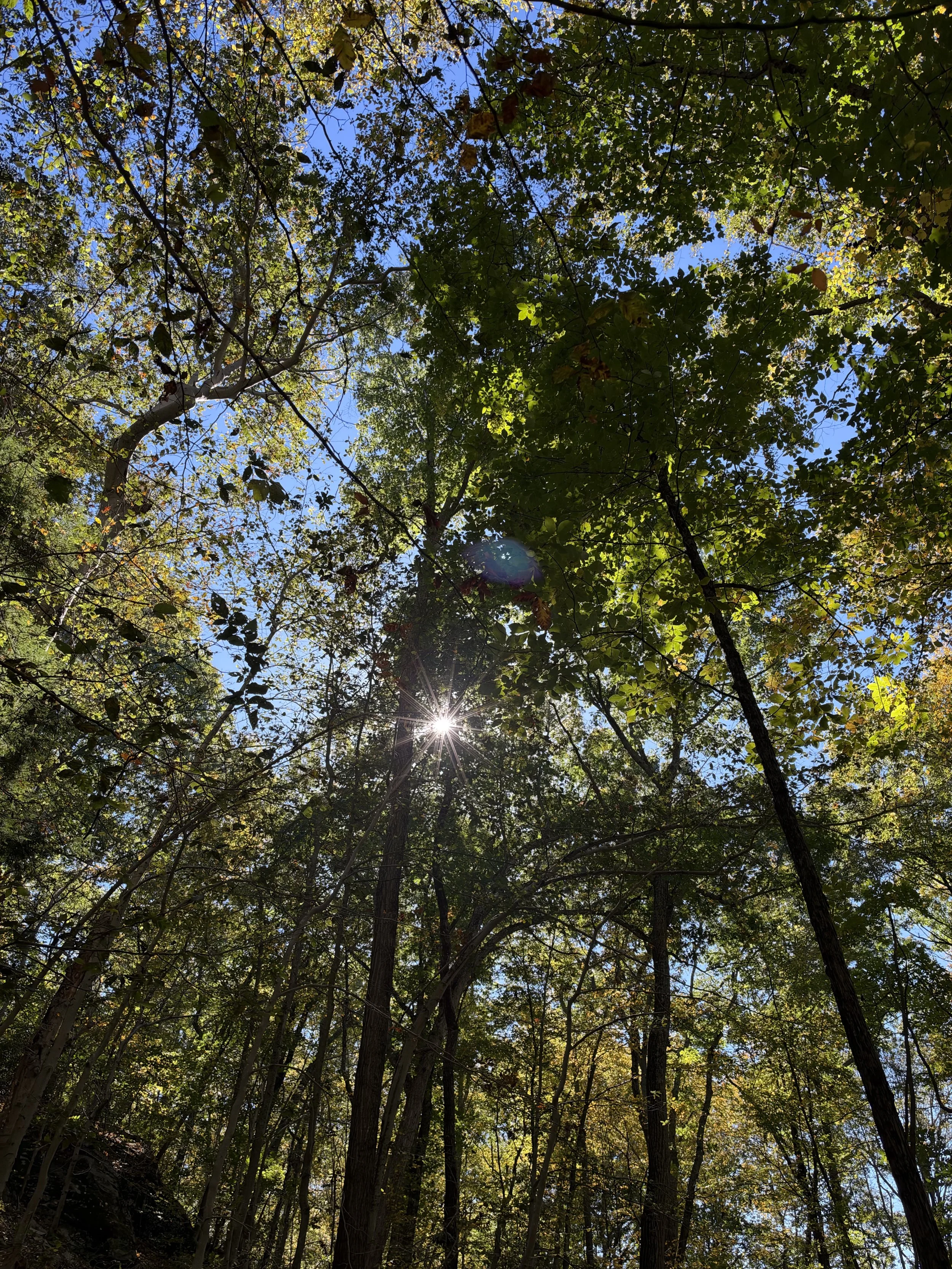 Inspired by Nature: Bringing the Outside In