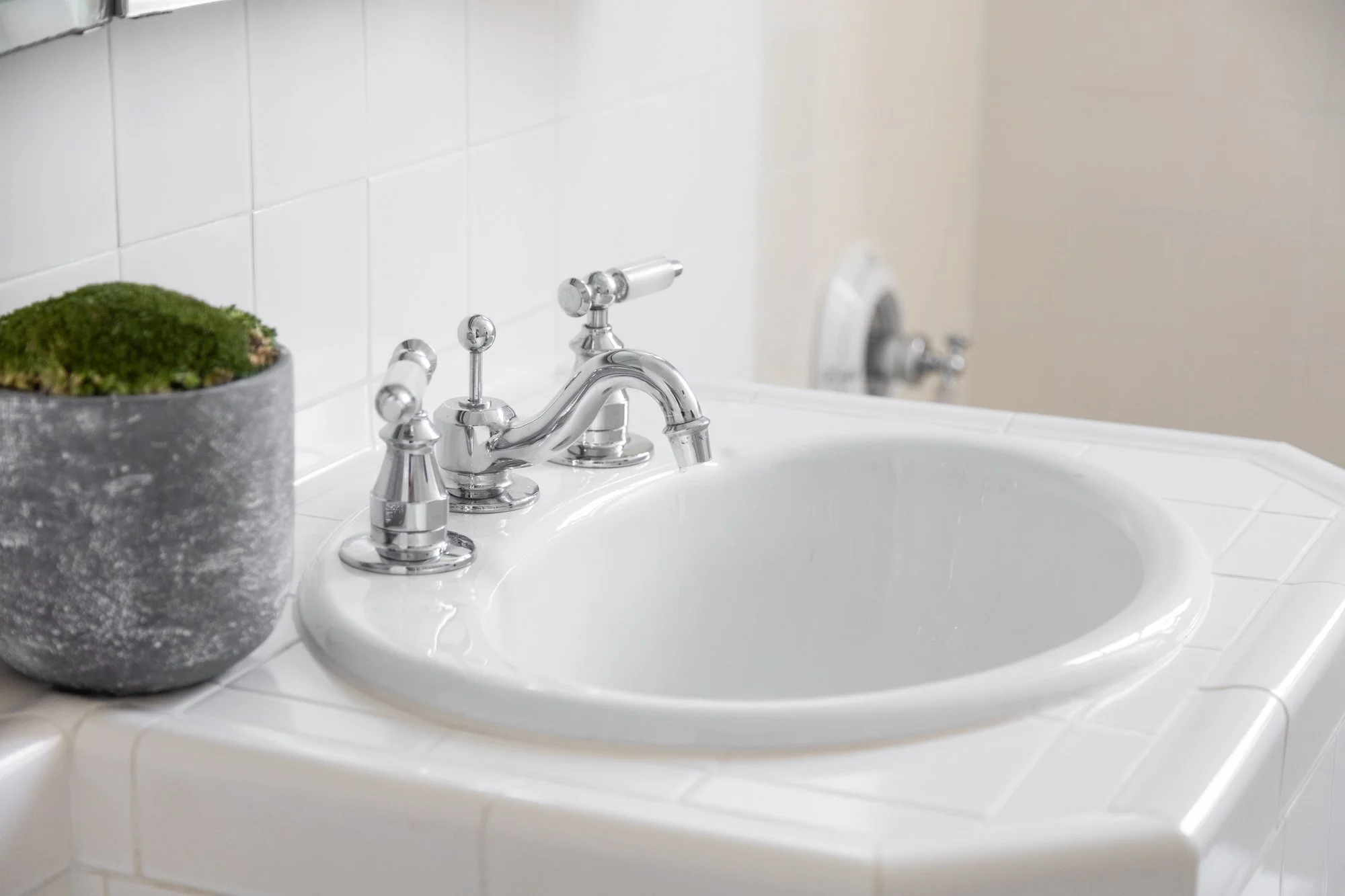 Bathroom sink with chrome faucet and a potted plant with moss on a white tiled countertop.