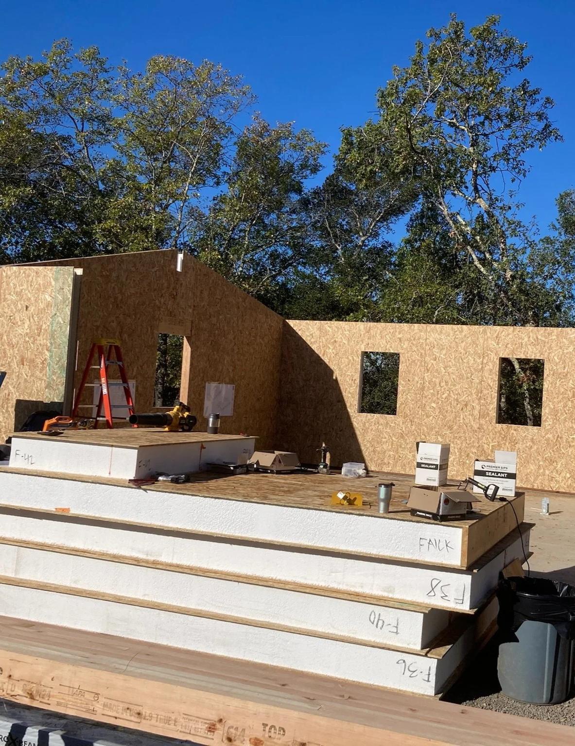 Bayly project: new build