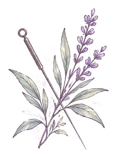 Watercolor illustration of an acupuncture needle crossing a sprig of lavender