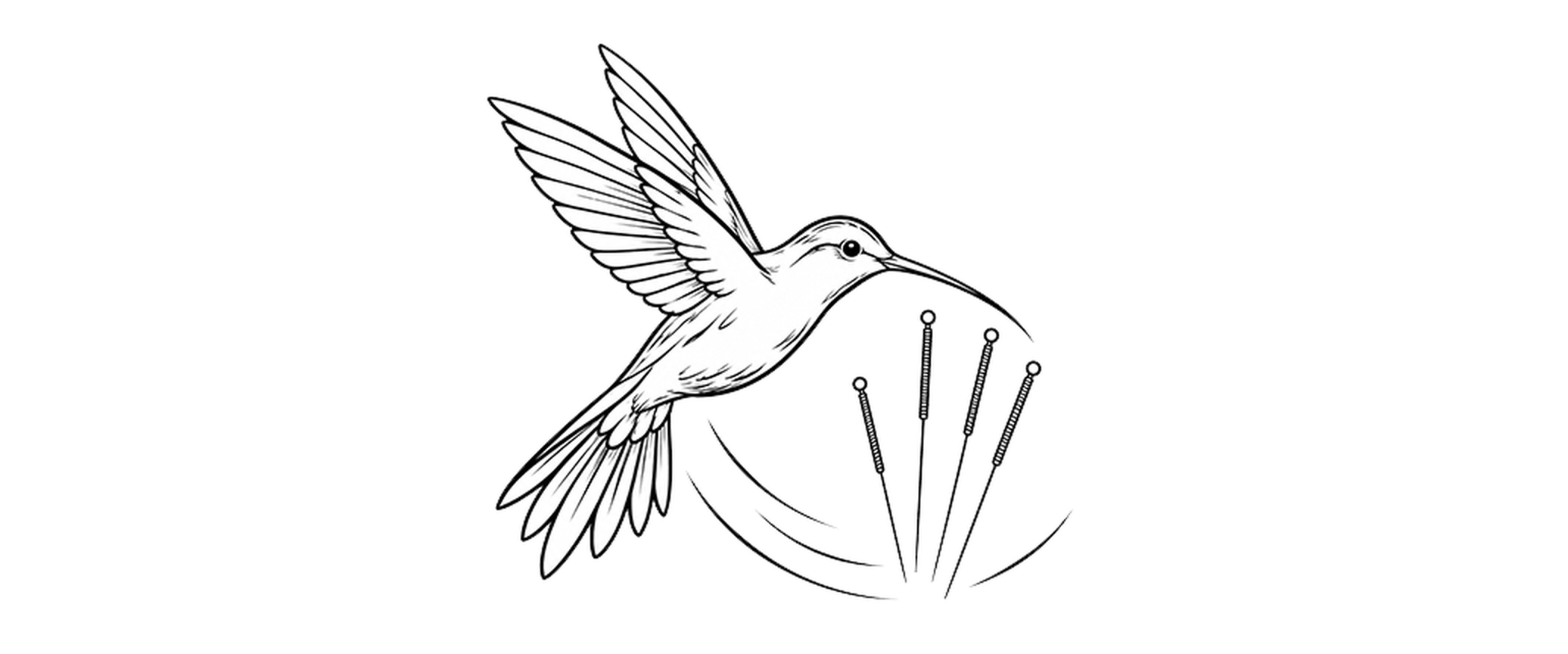 Outline drawing of a hummingbird with spread wings, with five acupuncture needles