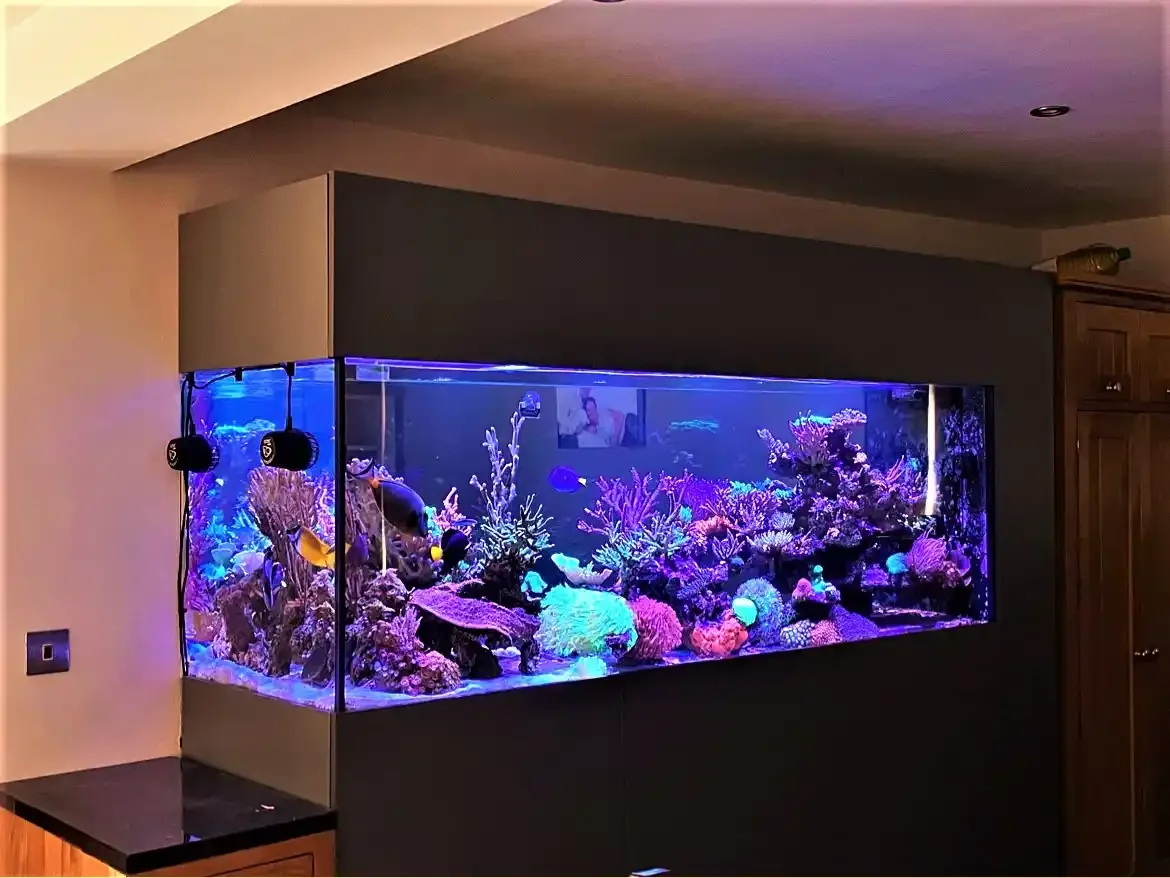 Large saltwater aquarium filled with colorful coral and tropical fish, installed in a living room corner.