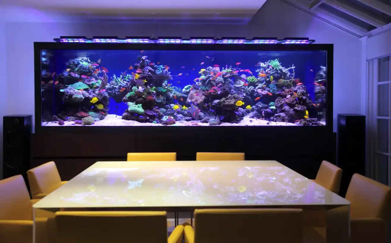 Large aquarium filled with colorful coral and tropical fish in a room with a table and chairs