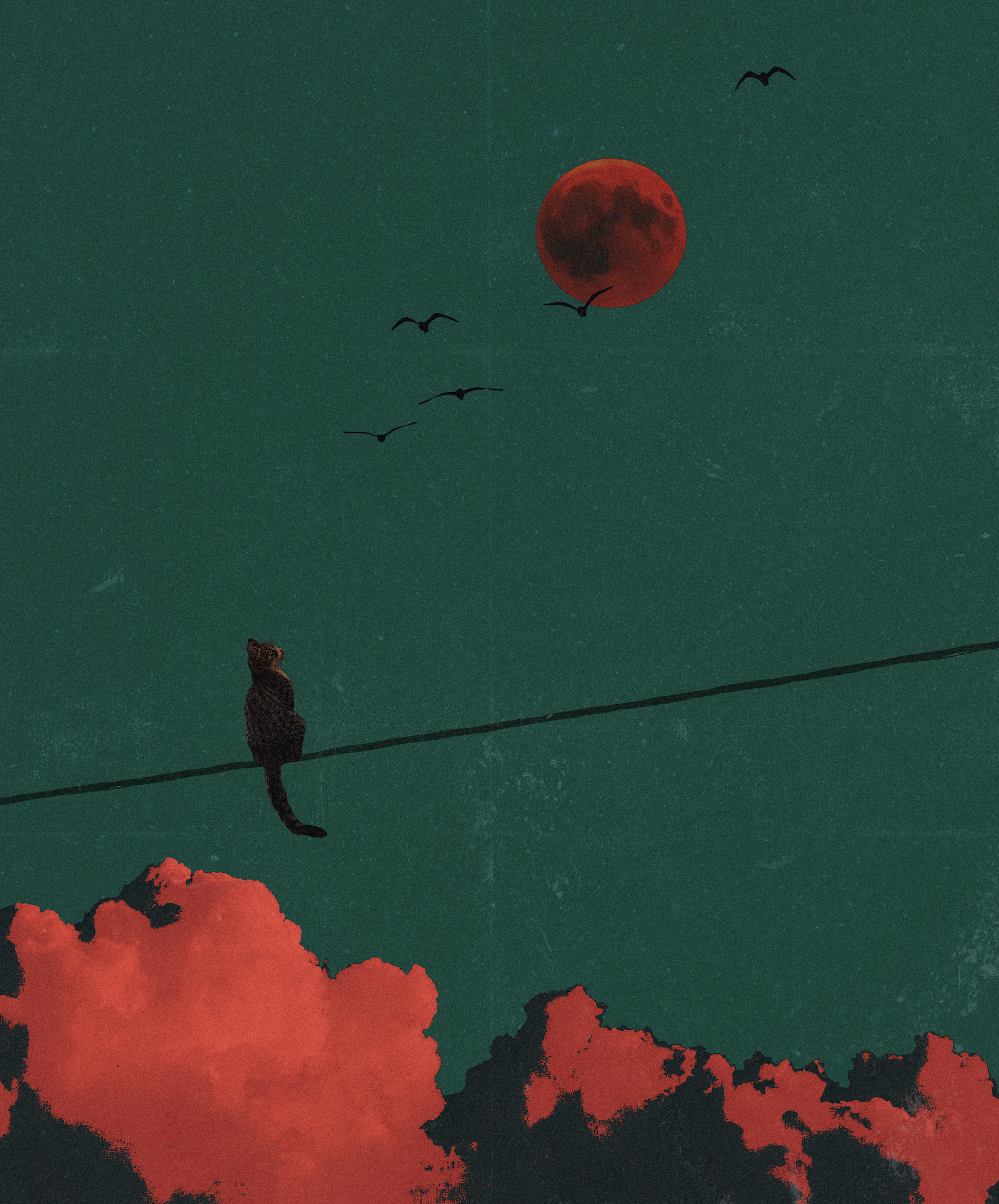 A photograph of a red lunar eclipse with silhouetted birds flying in the foreground and vibrant red and black clouds below.