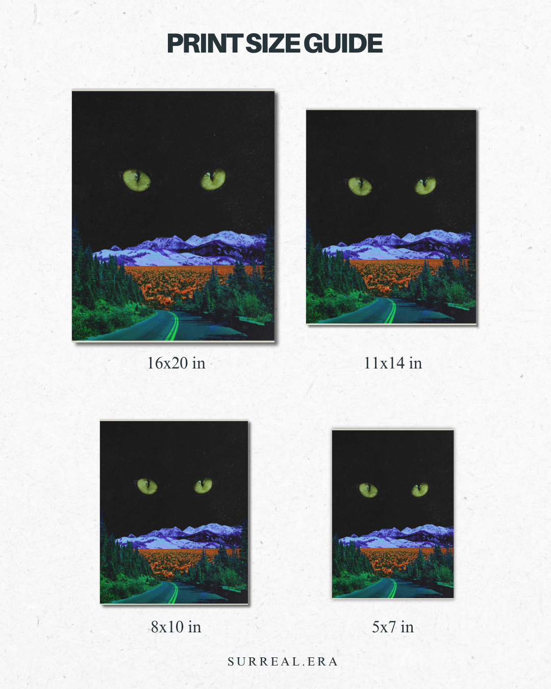 kitty print size guide.png