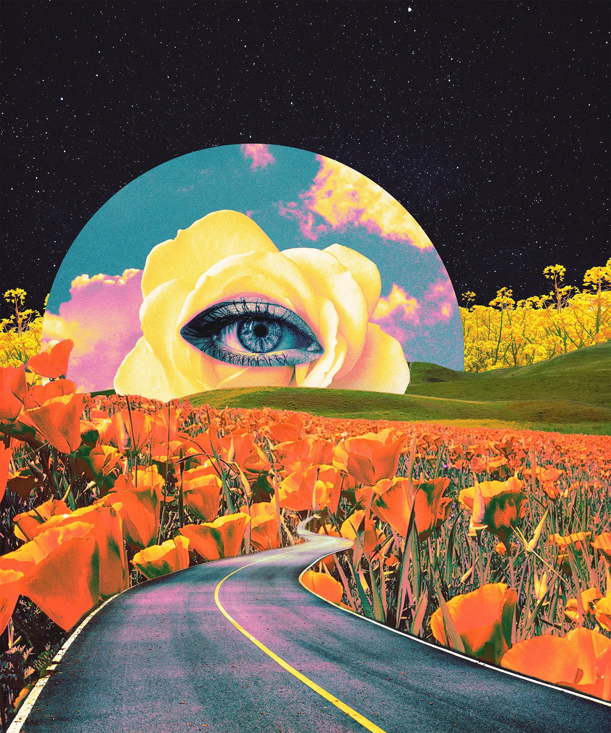 FieldOfVision.jpg