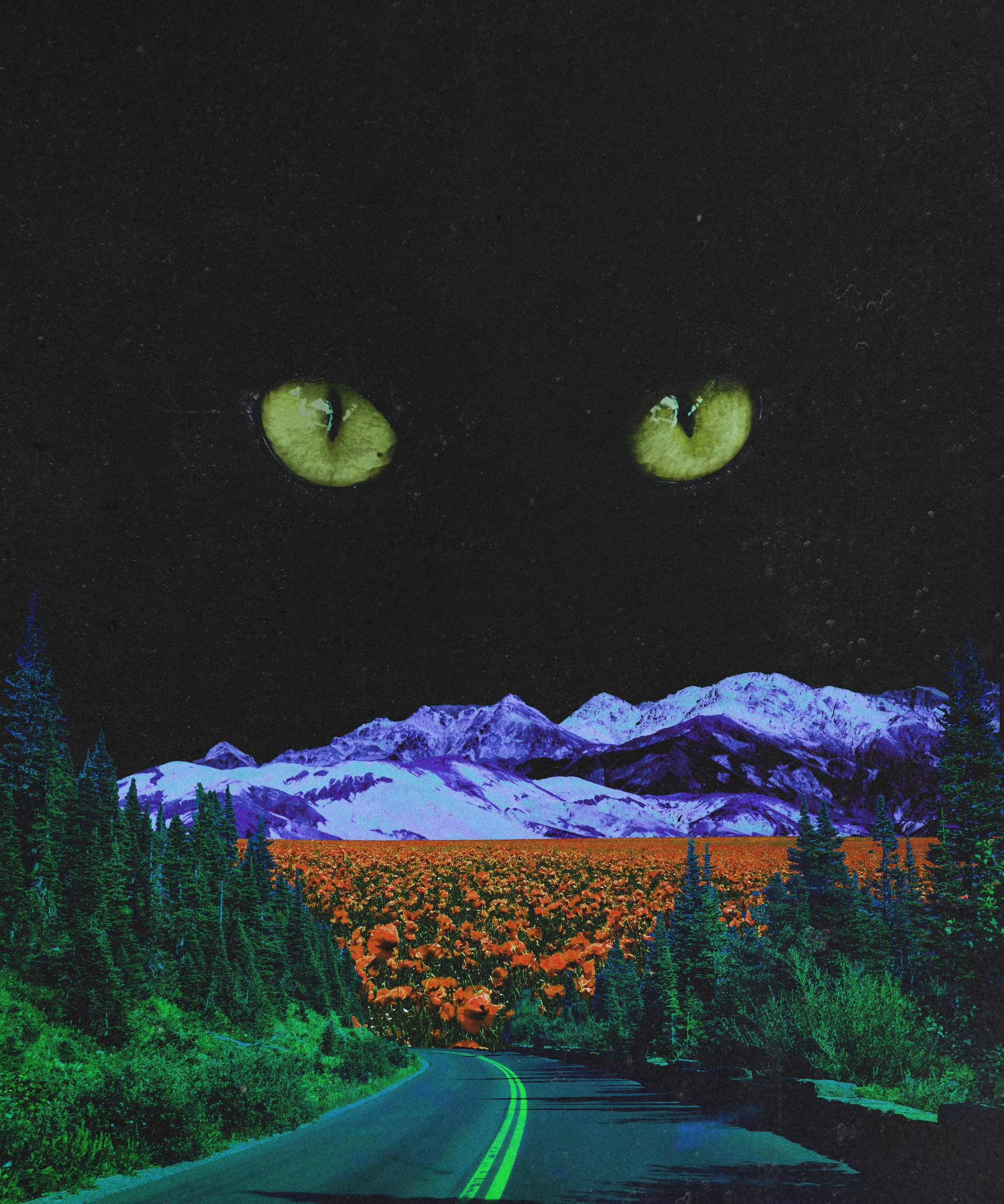 Night Watch