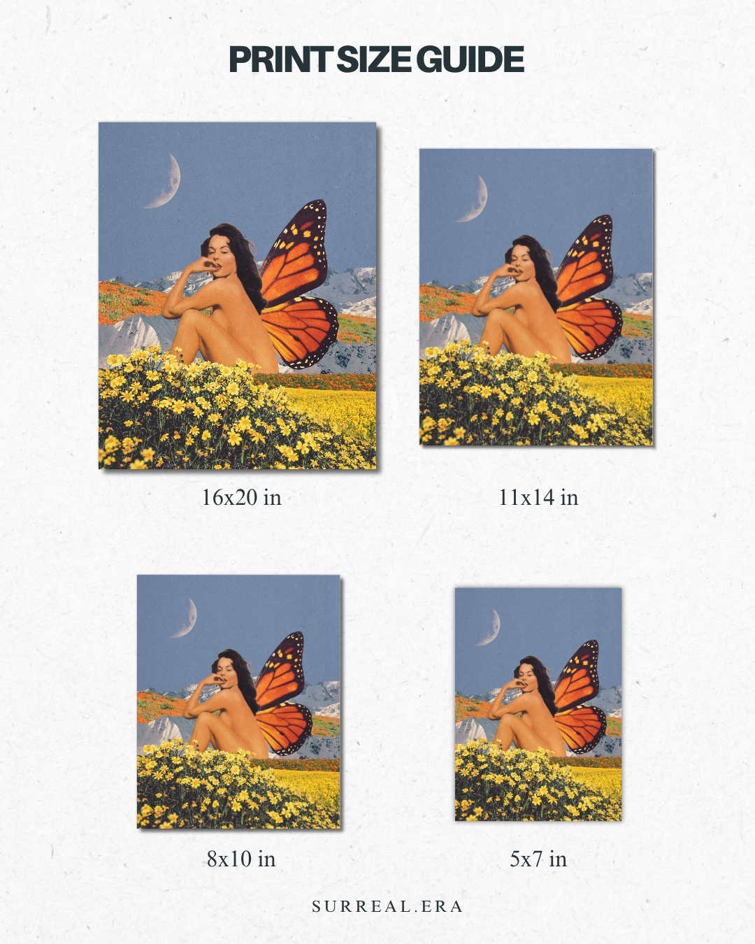 butterfly print size guide.png