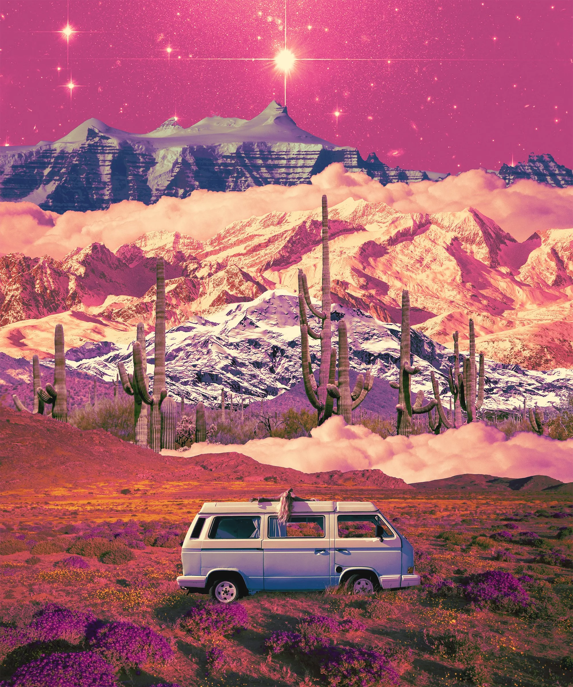 Pink Nomad