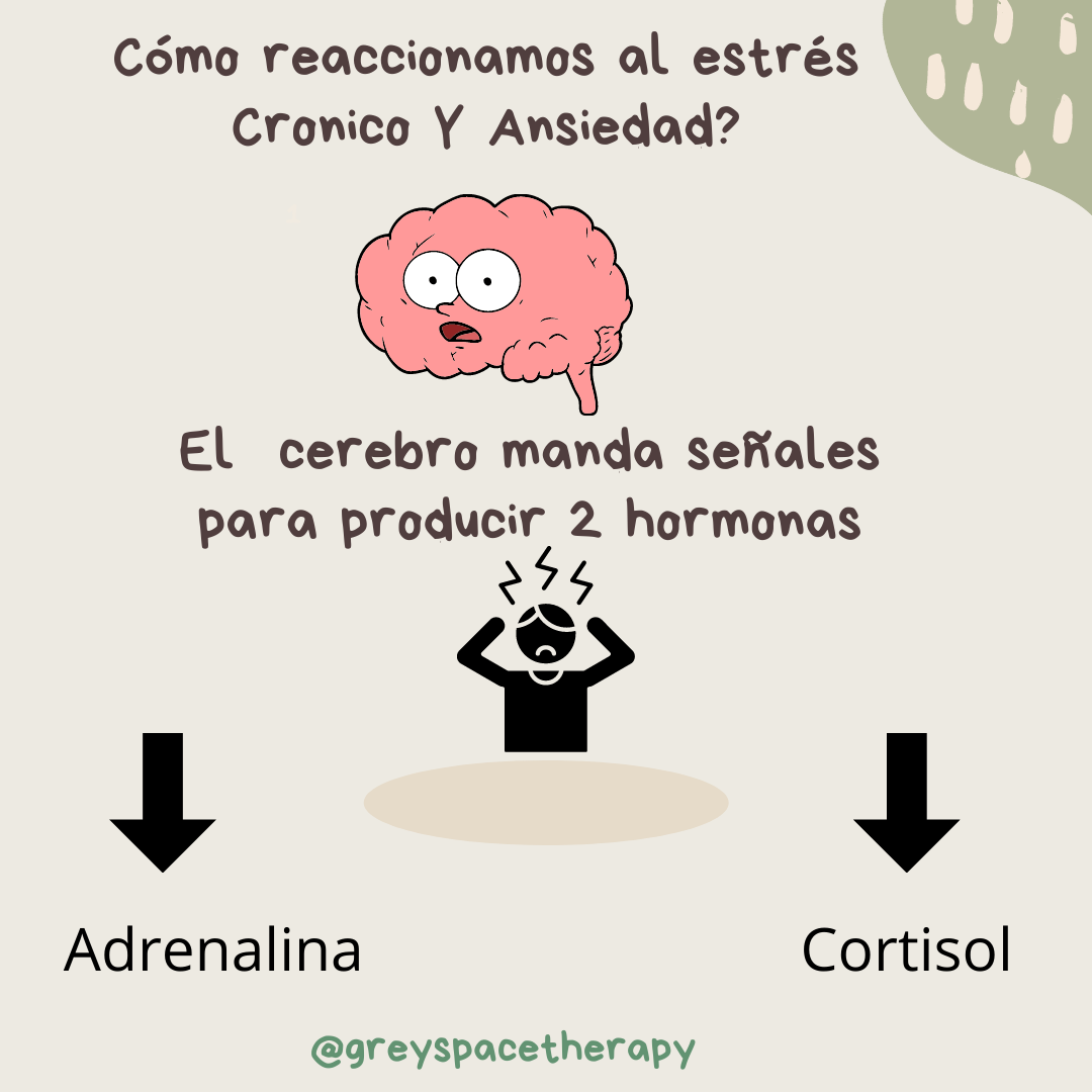 How our mental health reacts to chronic stress and anxiety