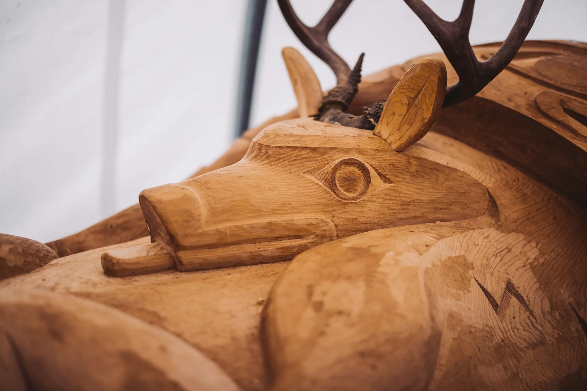 Close-up of a wooden carving of a deer with dark antlers, carved from light-colored wood - part of a larger totem pole.