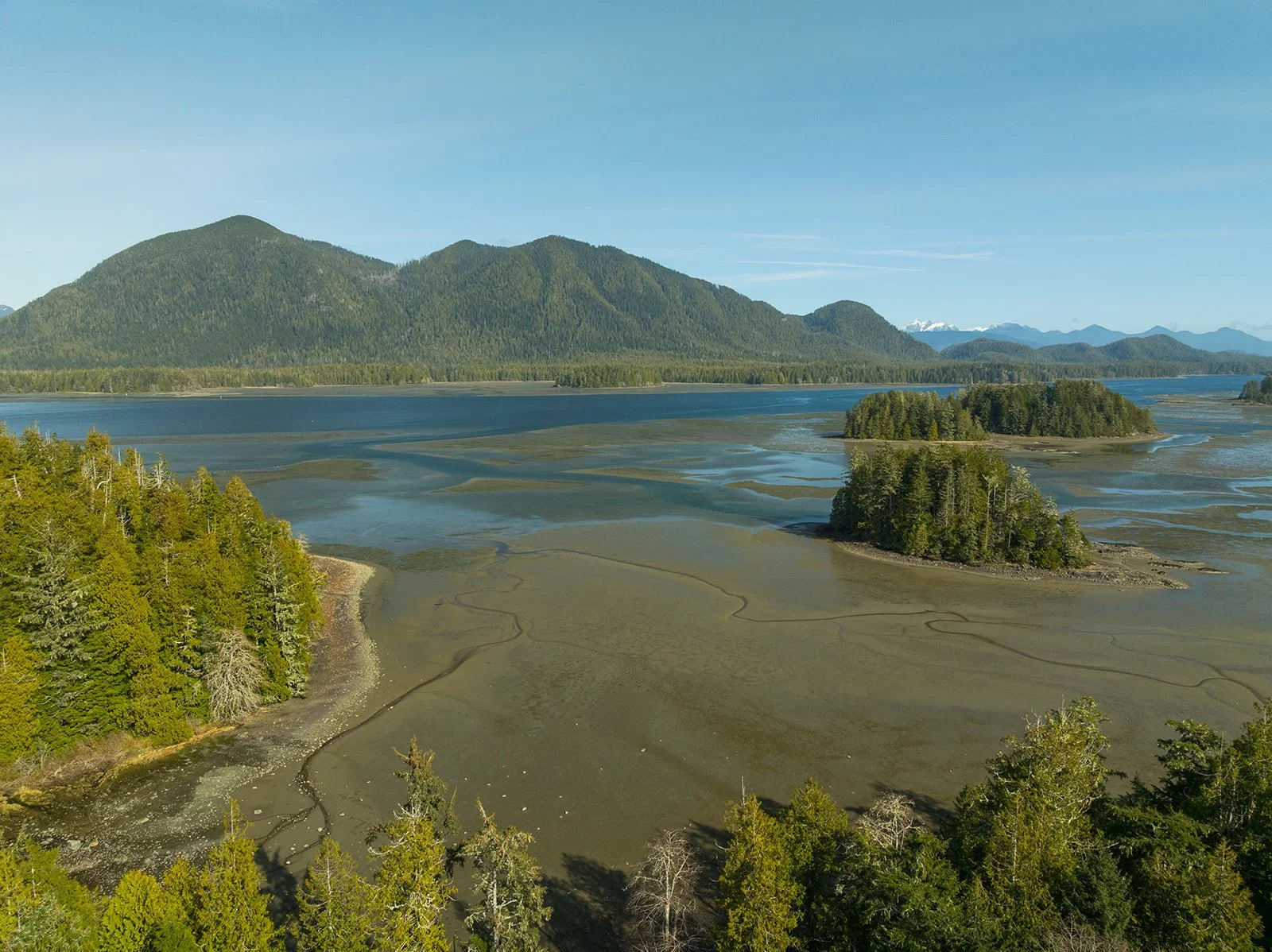 A landscape view of a mountain range - Meares Island - with the Tofino mudflats and small islands in the foreground, green trees along the shoreline, and snow-capped peaks in the background.