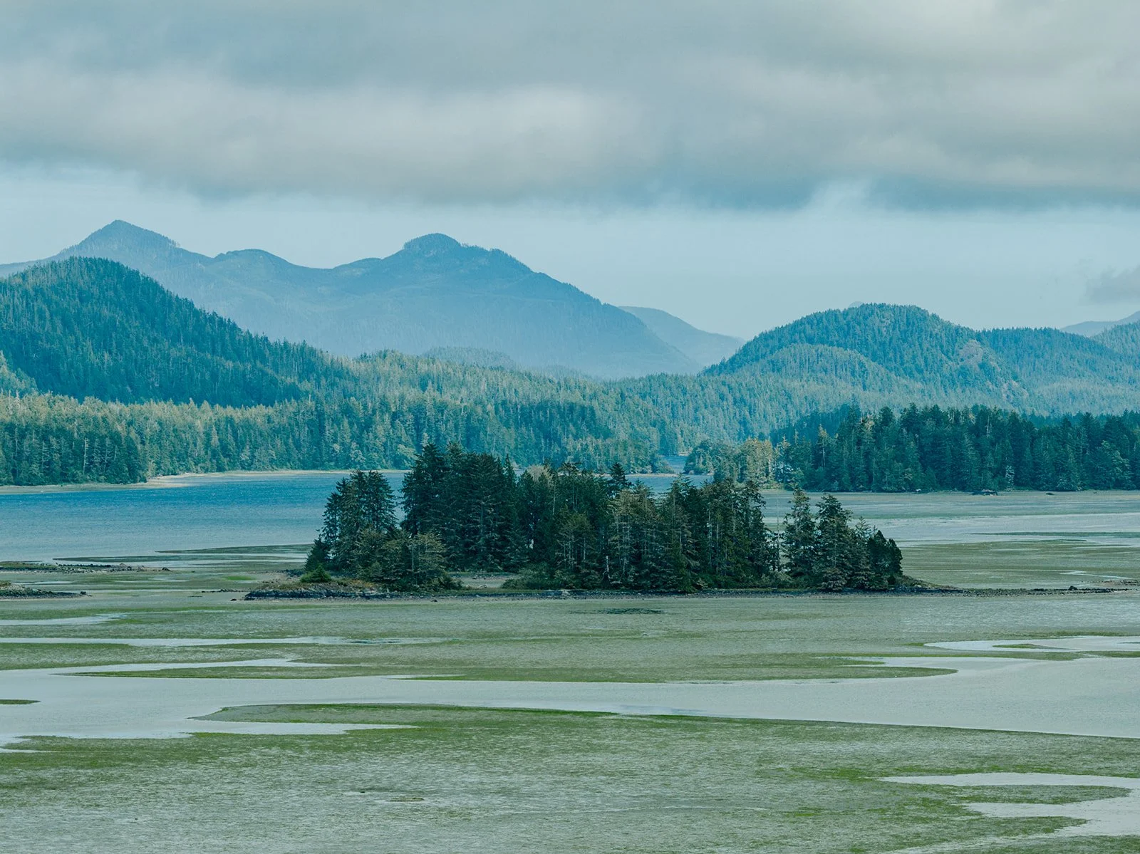 A landscape of the Tofino mudflats, viewed from the Clayoquot Campus, with Meares Island in the background.