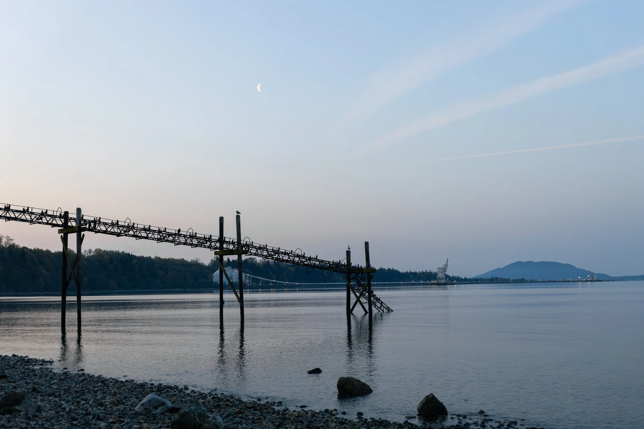 A body of water with a rocky shore in the foreground, a partially submerged industrial water intake tower structure with birds perching on it, a distant bridge, hills, and a partly cloudy sky with a crescent moon.