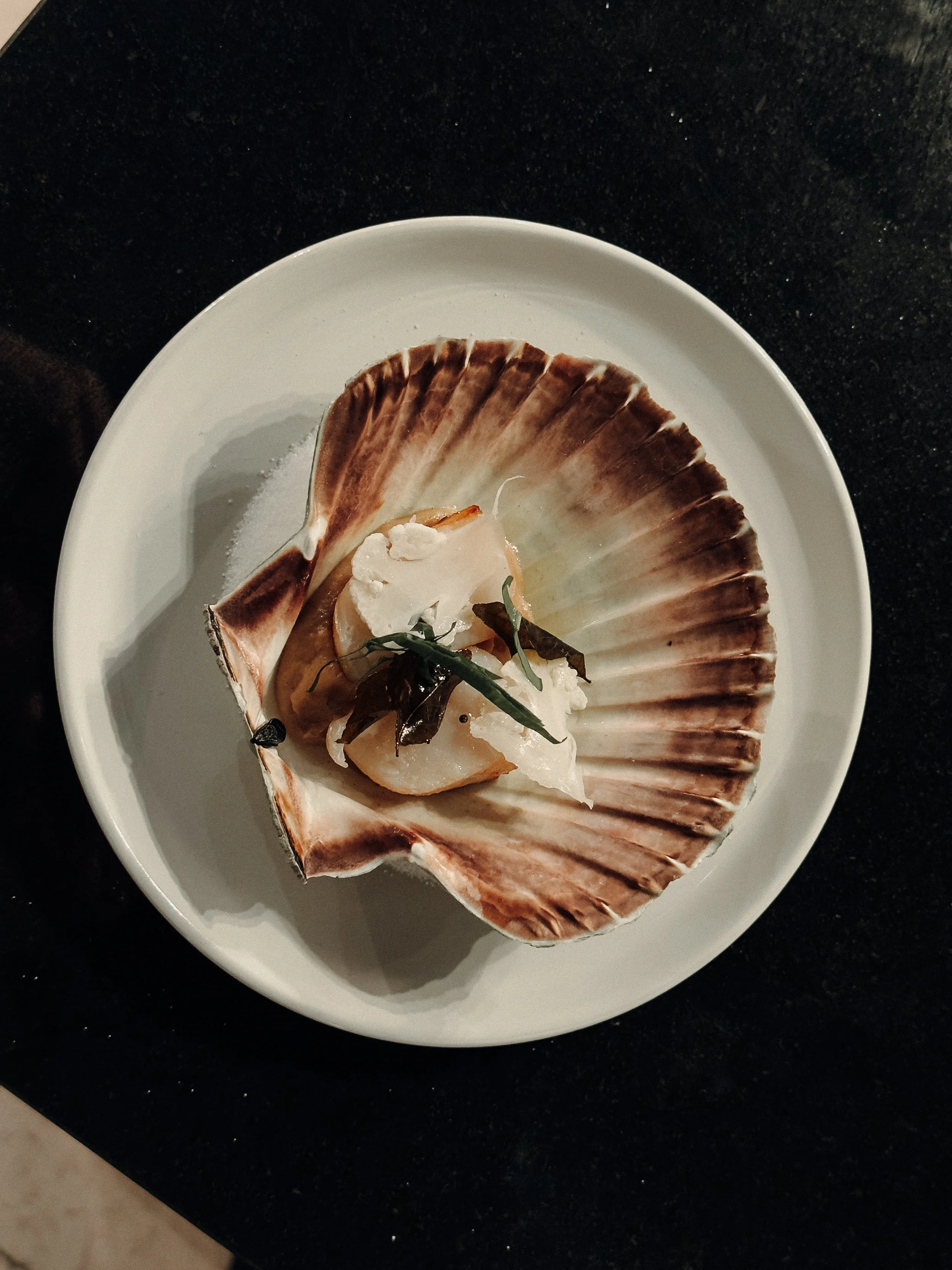 Seafood dish served in a scallop shell on a white plate with herbs.