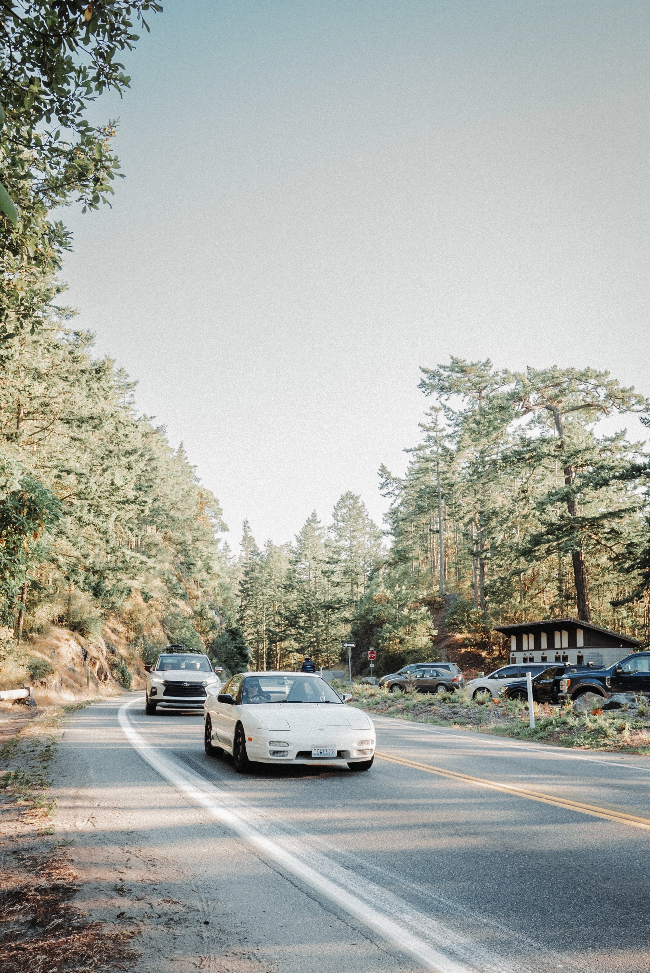 A scenic view of a small parking lot on a curved mountain road surrounded by tall trees, with a clear sky above.