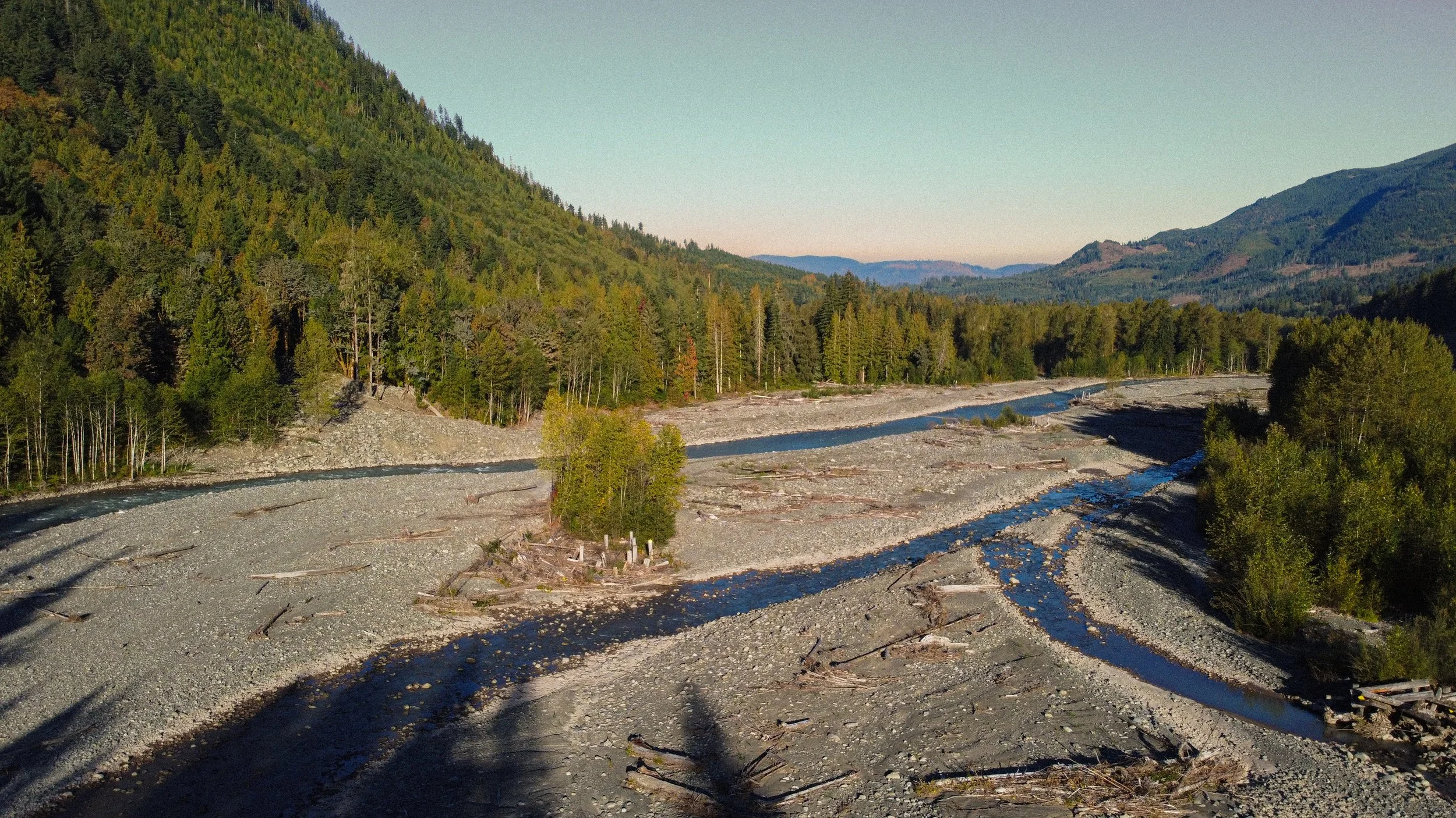 A river flows through a rocky, dry riverbed surrounded by a dense forest of evergreen trees on mountain slopes.