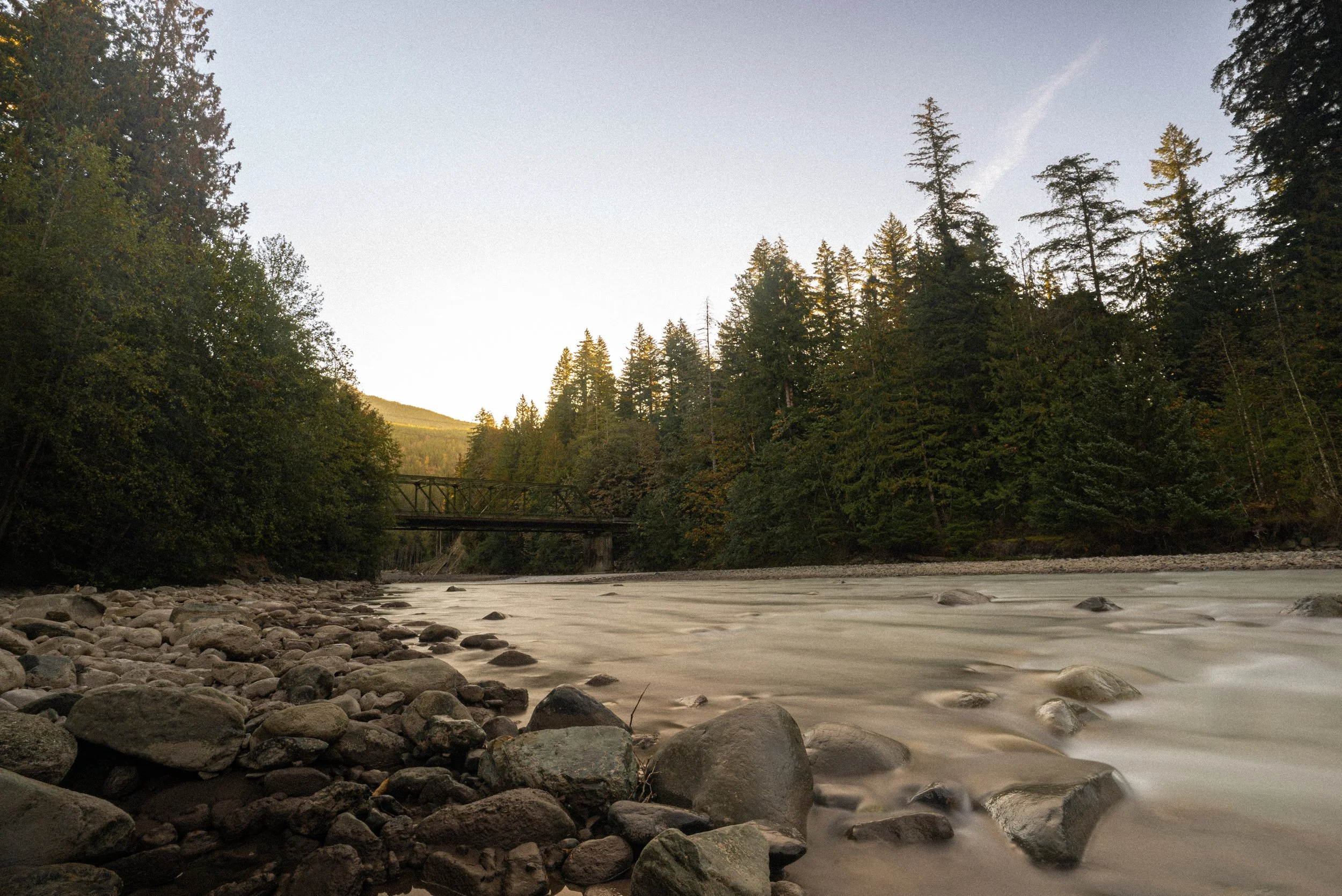 A river flowing through a forested area with evergreen trees during sunset.