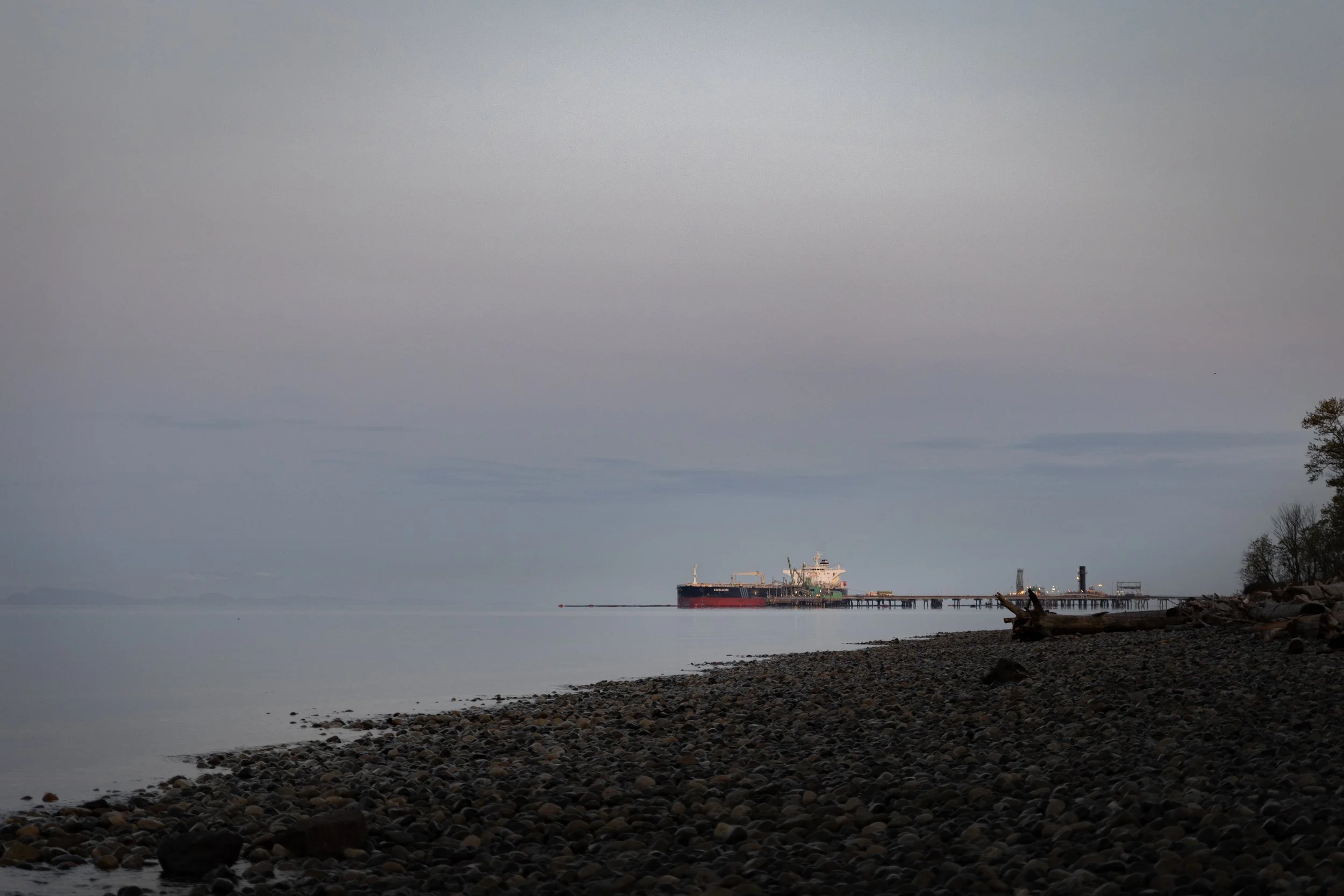 A large cargo ship docked at a pier over a calm body of water with a rocky shore in the foreground and trees on the right side. The sky is overcast.