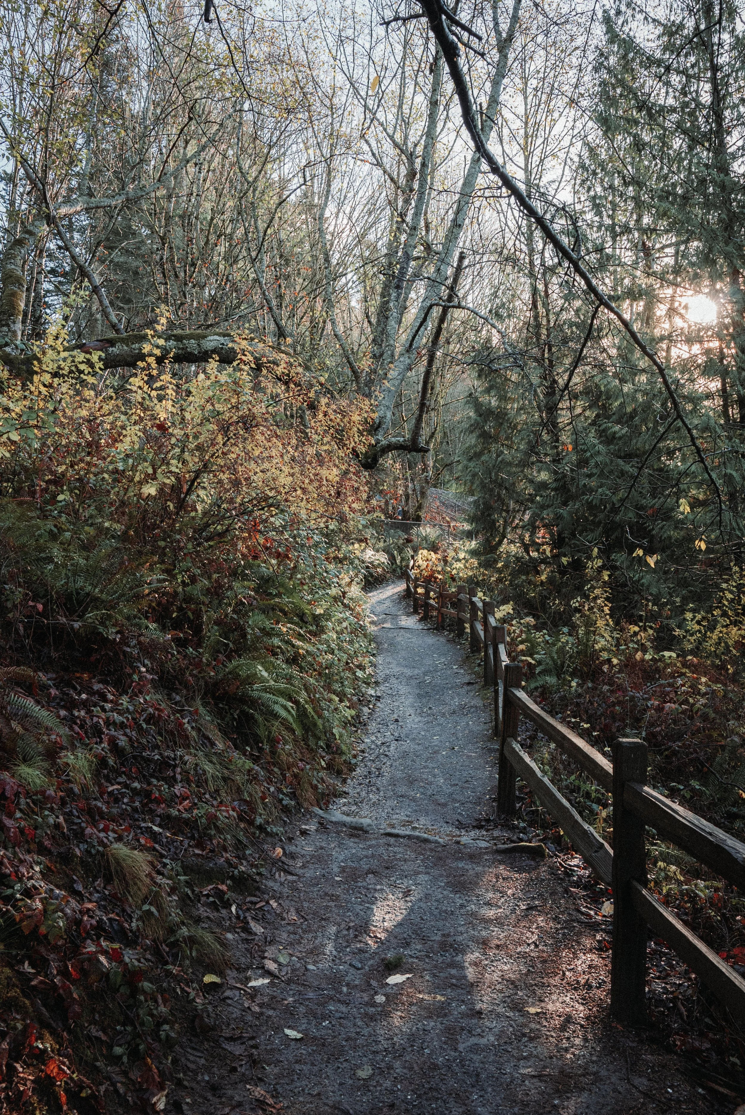 A narrow dirt trail navigates through a wooded forest with tall trees on each side. Sunlight filters through the branches, illuminating the path which is bordered by a wooden fence on the right. Fallen leaves and moss are visible on the forest floor.