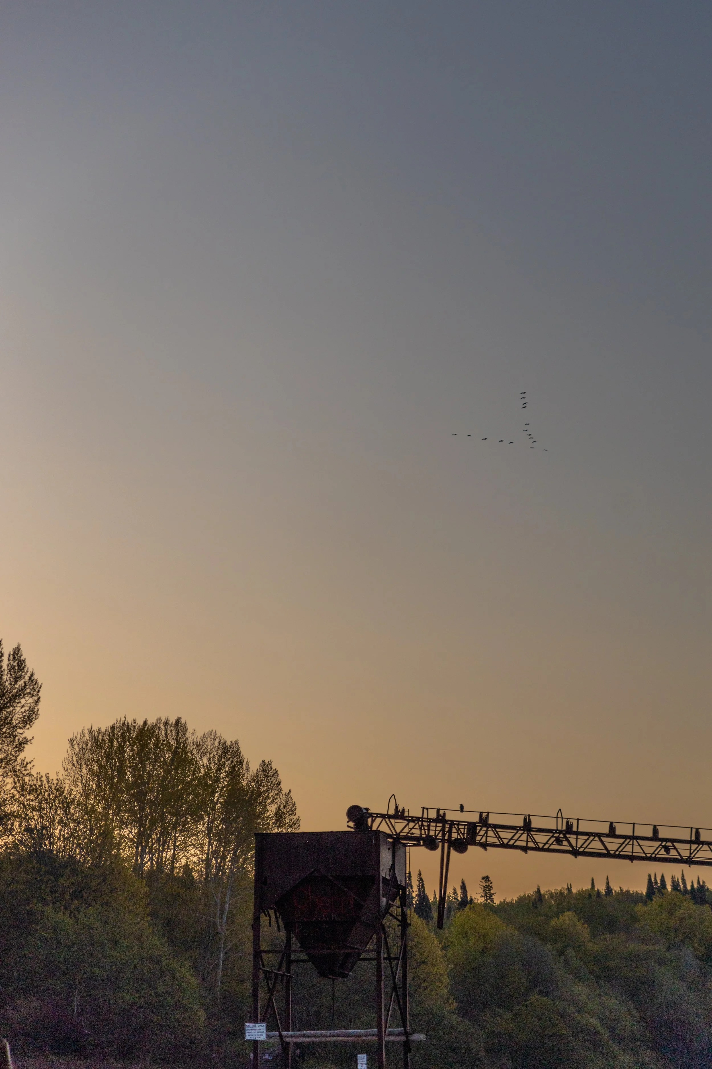 A vintage mining elevator structure against a sunset sky with a flock of birds flying in V formation above, and trees at the bottom of the image.