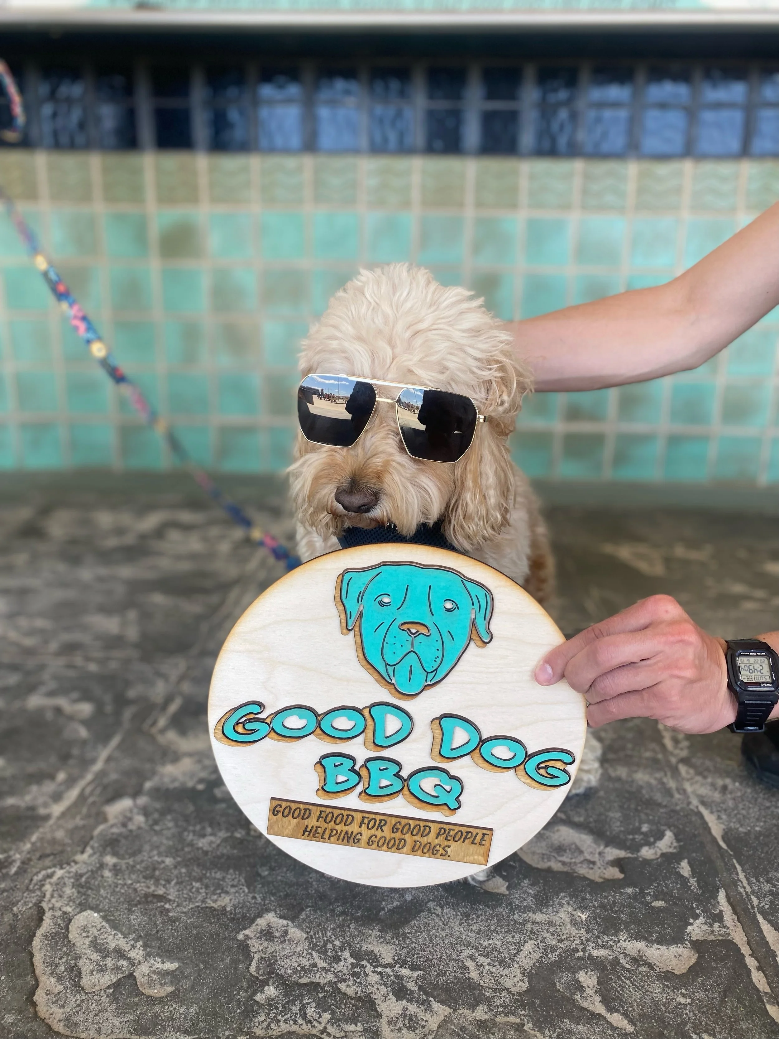 good dog with dog.JPG