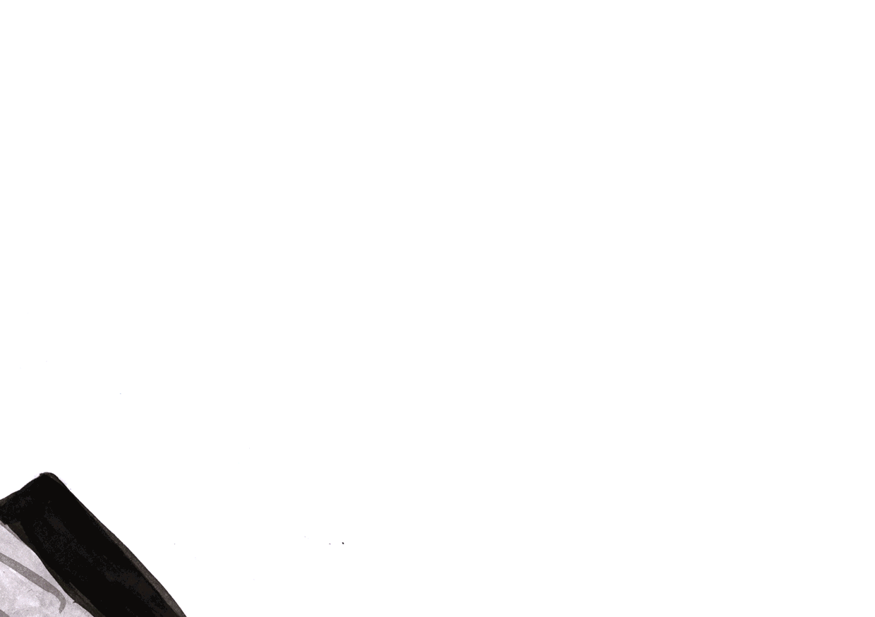 bird-gunshot-sequence-animation.gif