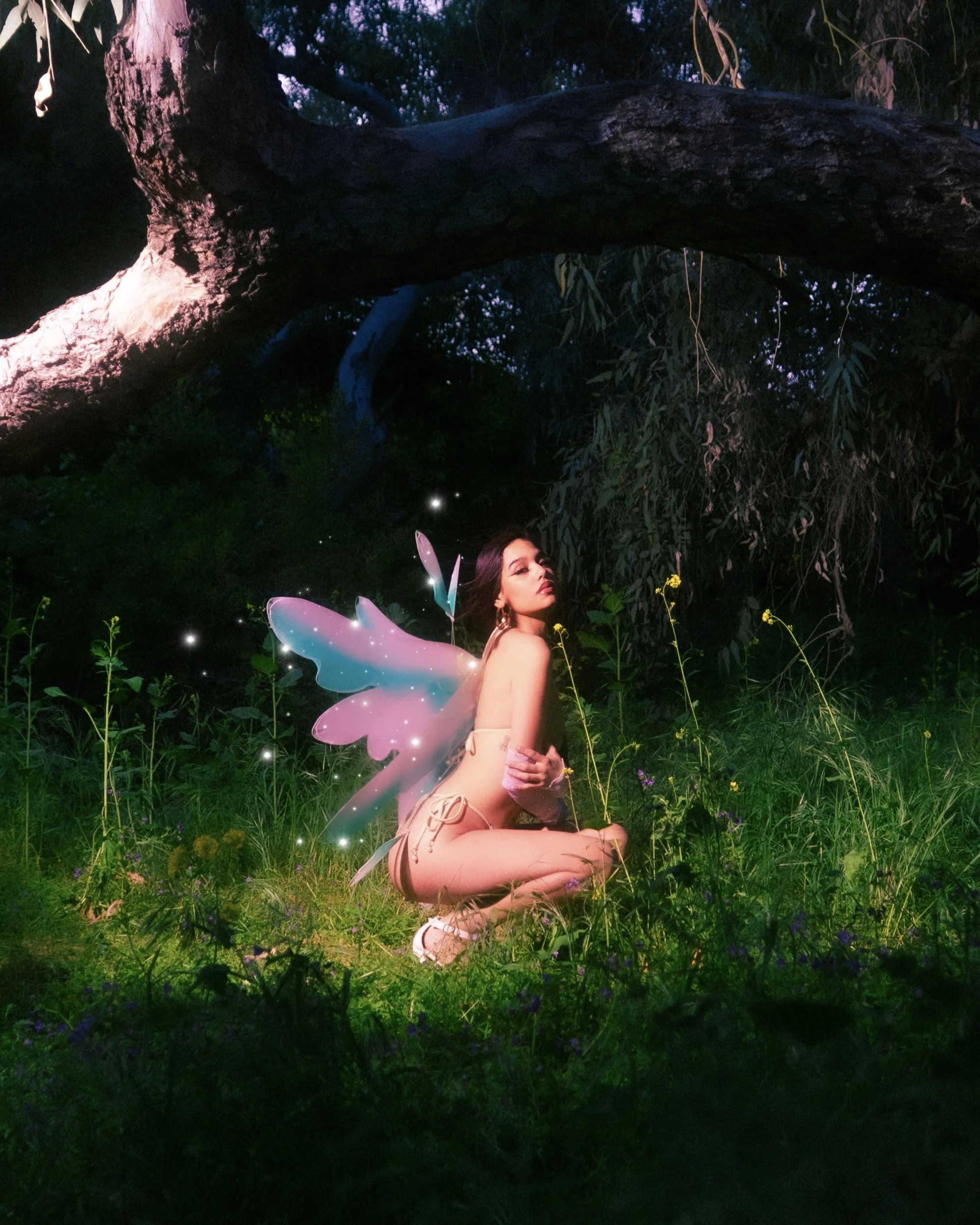 Krystal Fairytale Shoot.jpg