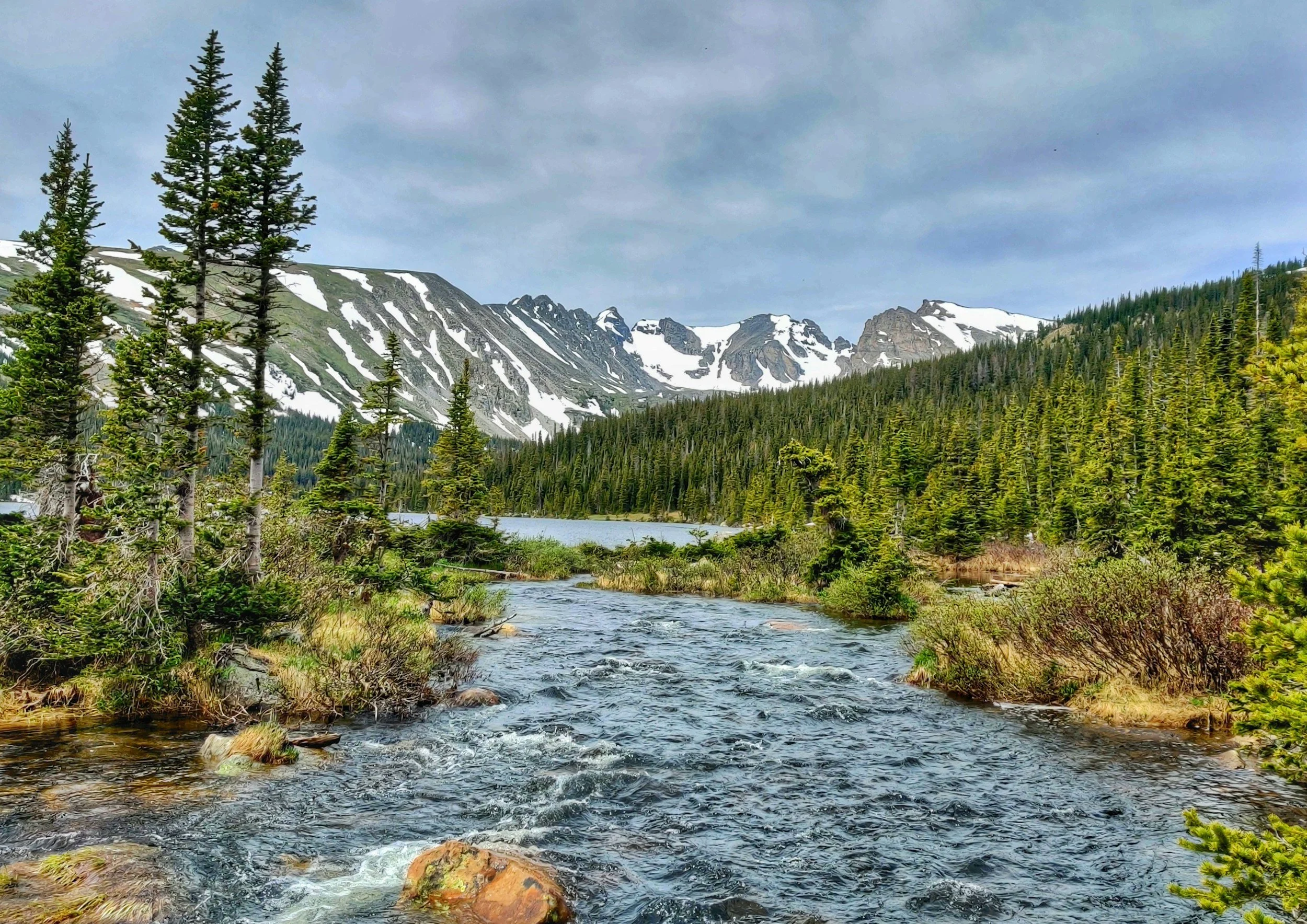 Mountain landscape with pine trees, river, and snow-capped peaks