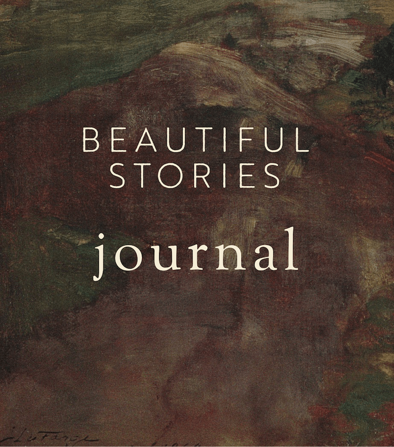 Cover of a journal titled 'Beautiful Stories Journal' with an abstract painted background.