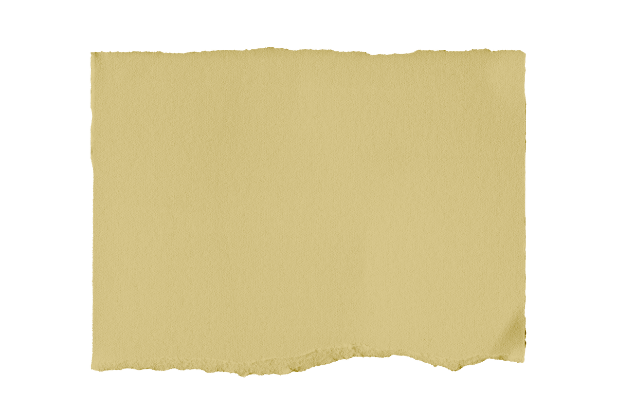 A piece of yellowed, torn paper with no visible writing or images.
