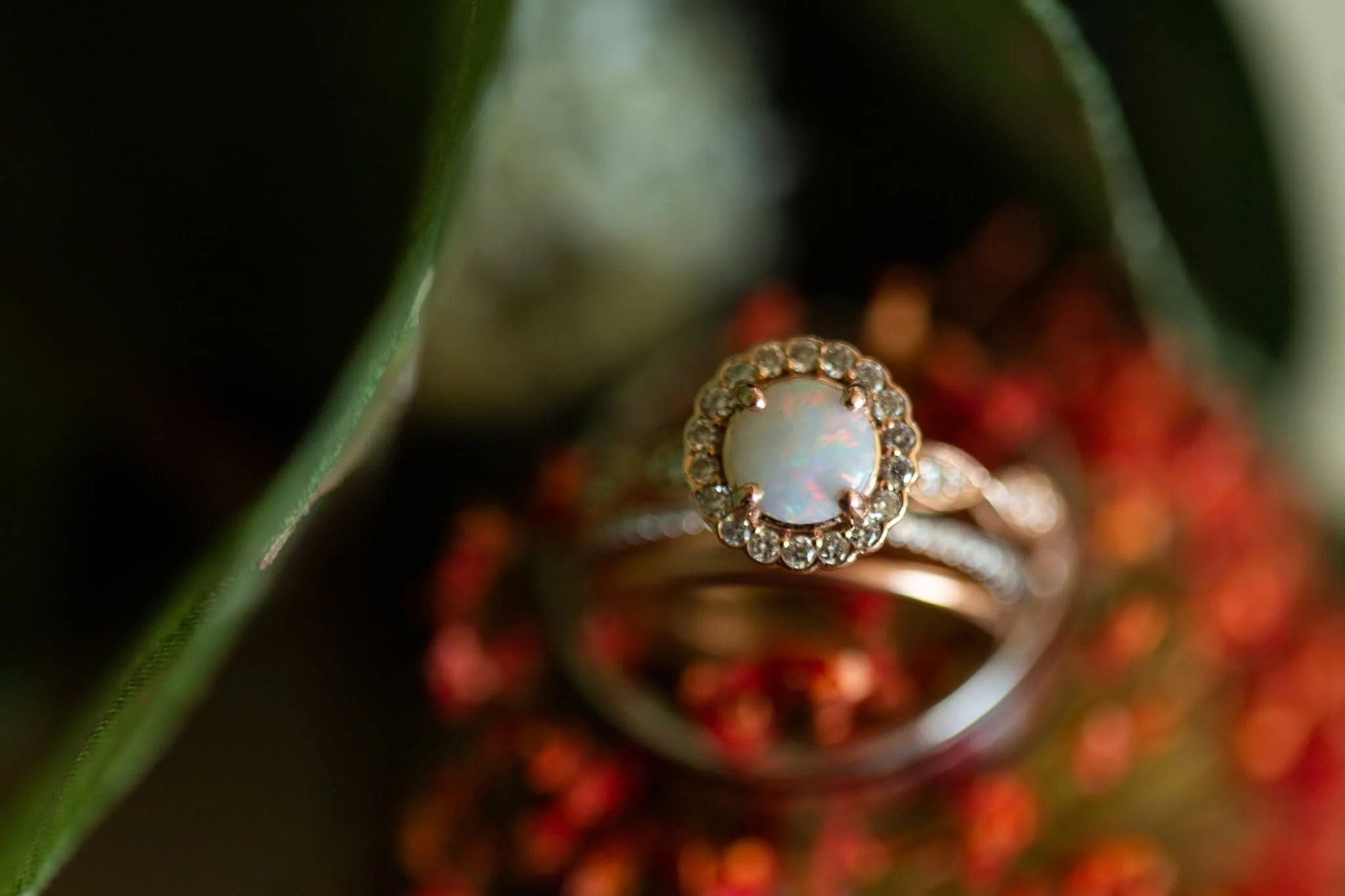 Close-up of a ring with a central opal surrounded by small diamonds, with blurred green leaves and red berries in the background.