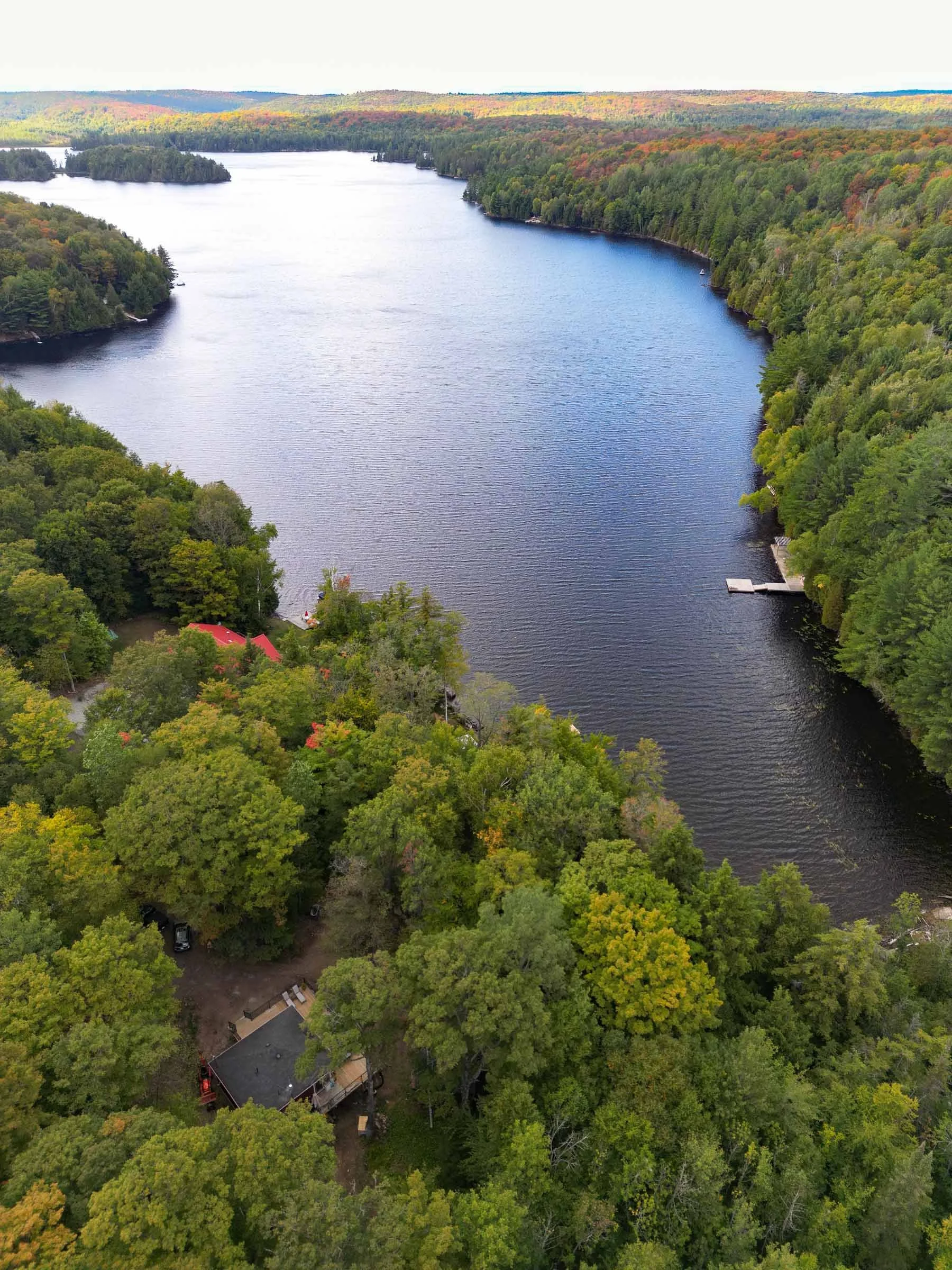 An aerial view of a large river surrounded by dense green trees, with some houses and docks along the shoreline and hills in the background.