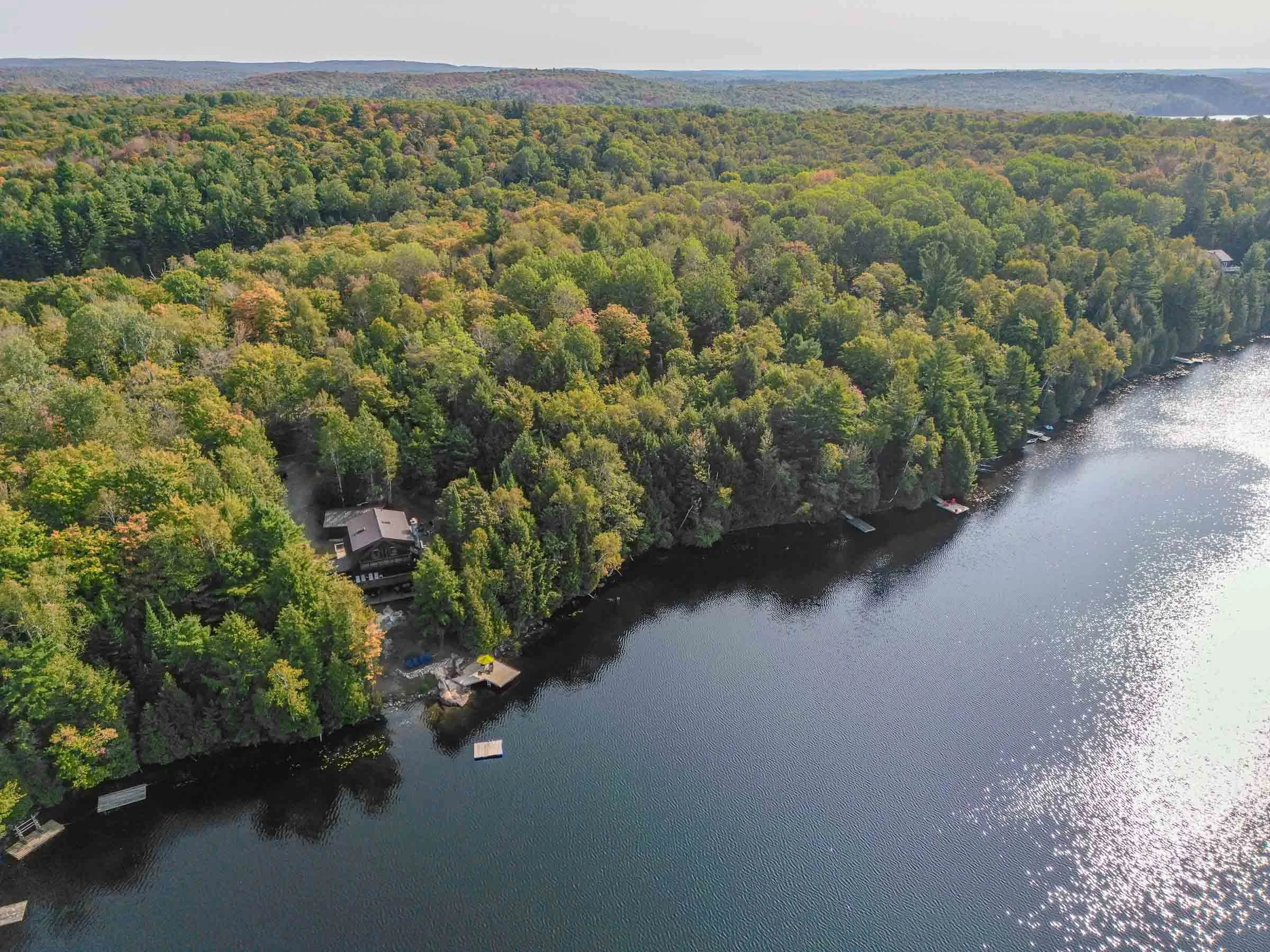 An aerial view of a large, lush, green forest along a winding river with a few houses and docks visible near the water's edge.