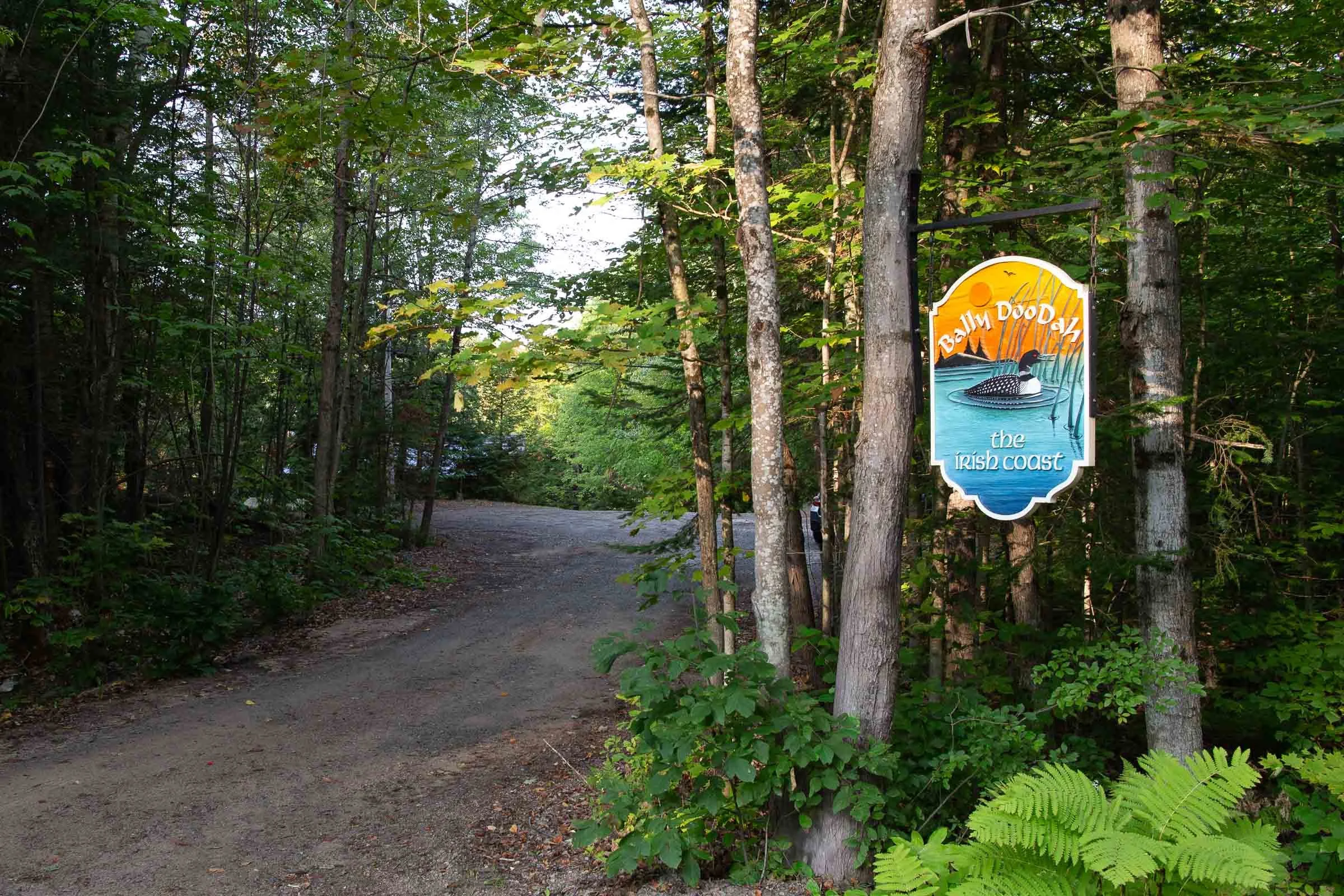A woodland trail with a sign that reads 'Bally Doodz the Irish Coast' featuring a loon on water, trees surrounding the trail.