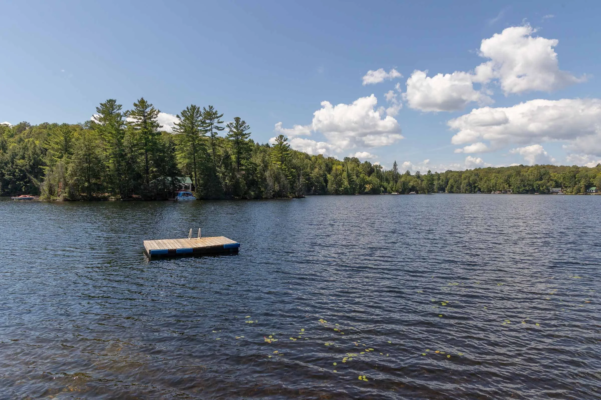 A serene lake surrounded by trees with boats docked along the shoreline under a partly cloudy sky.
