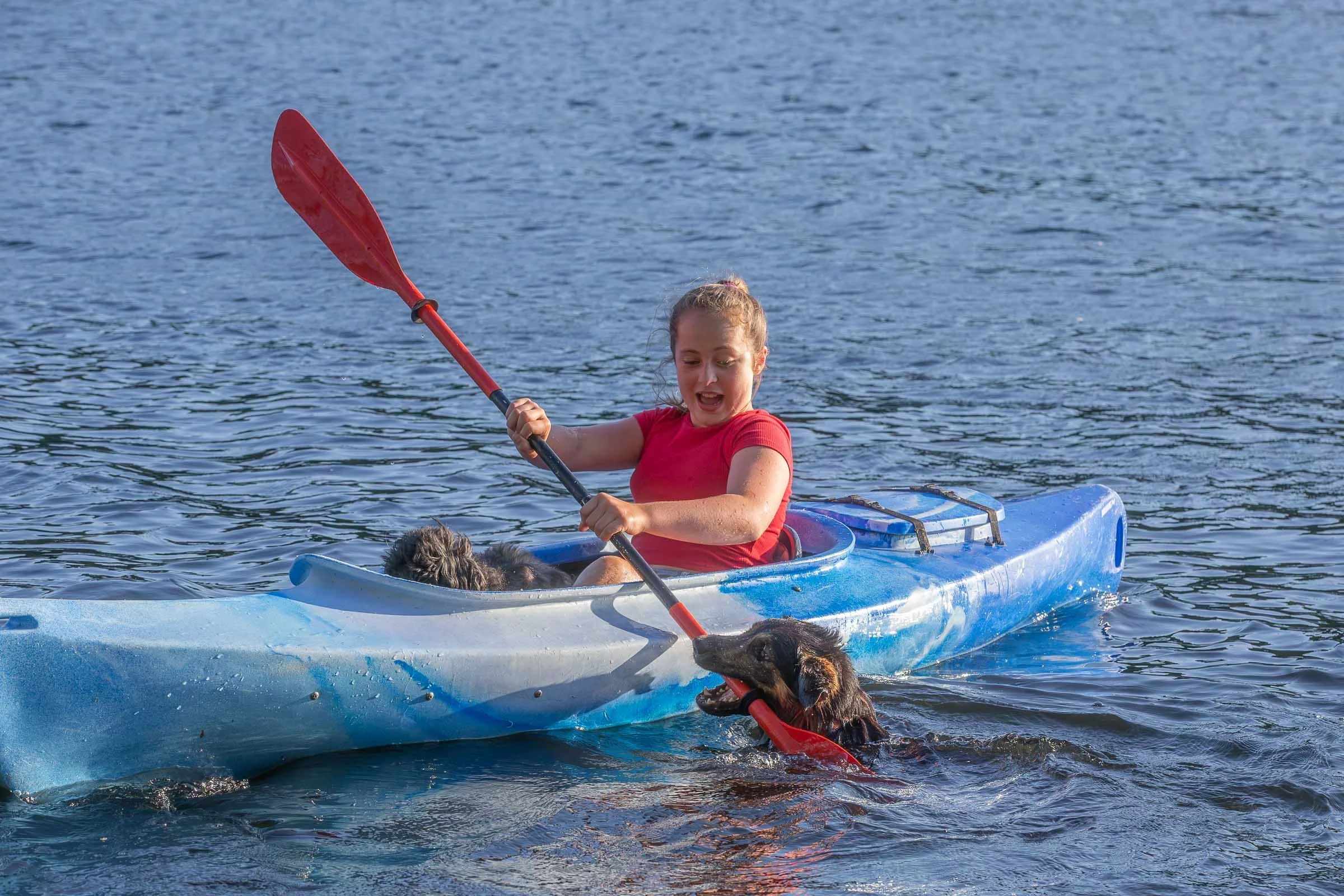 A young girl kayaking on a body of water, holding a red paddle, with two dogs in the kayak, one at the front and one in the middle.