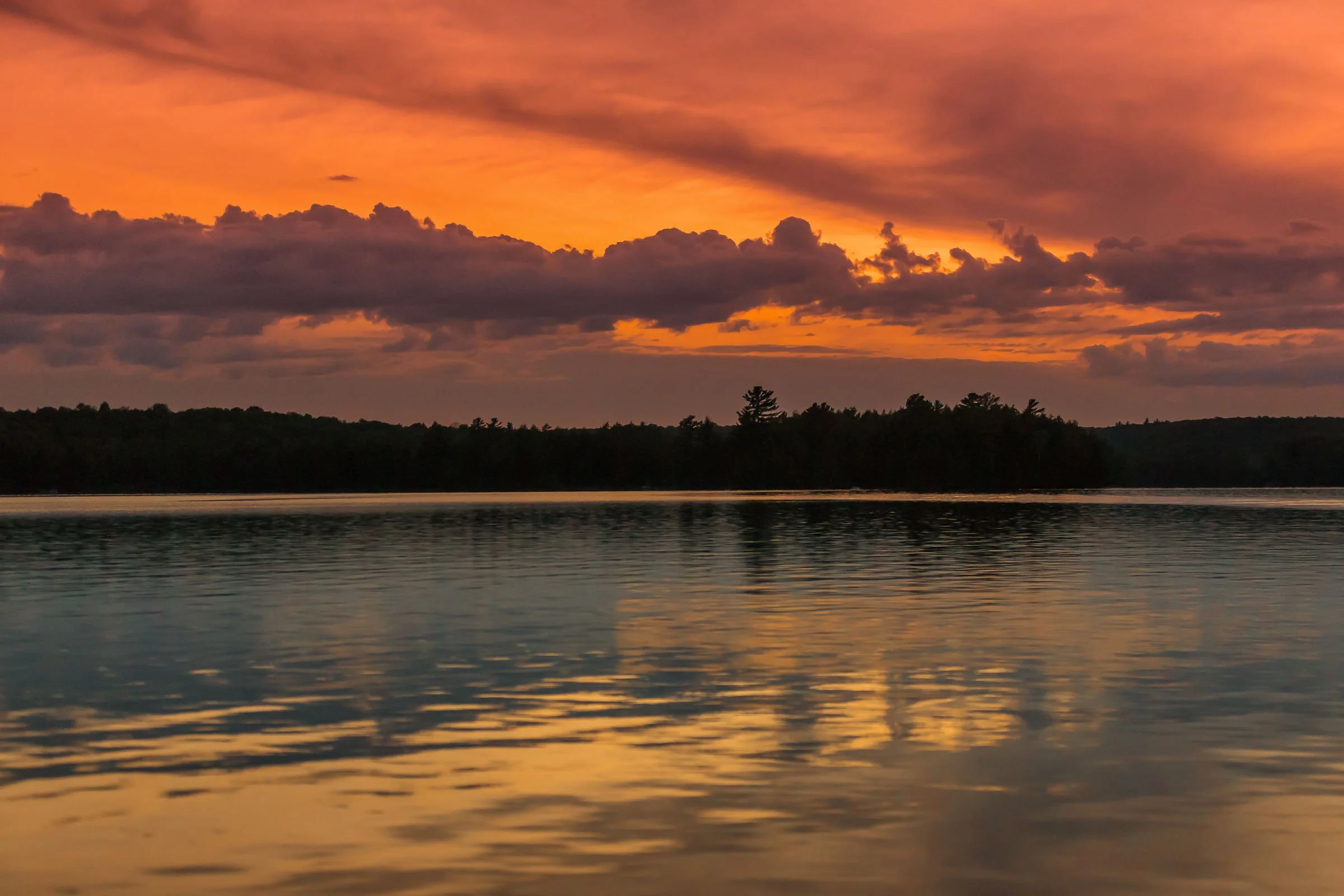 A sunset over a body of water with dark clouds and a silhouette of a treeline in the distance.