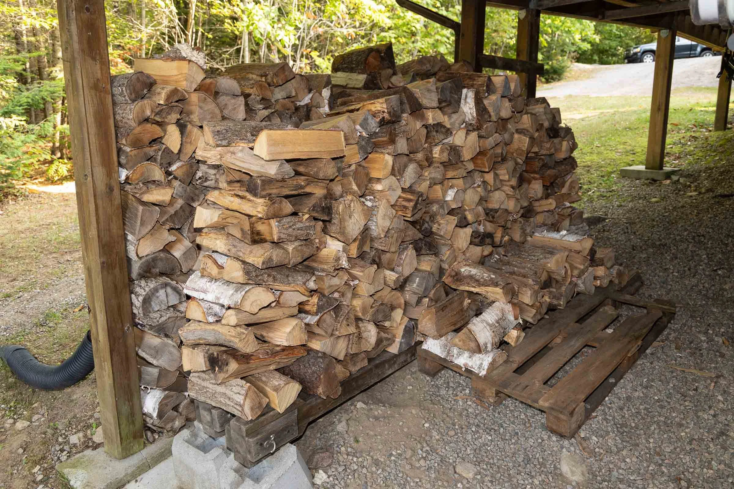 Stacked firewood stored under a shelter outdoors near a wooded area.