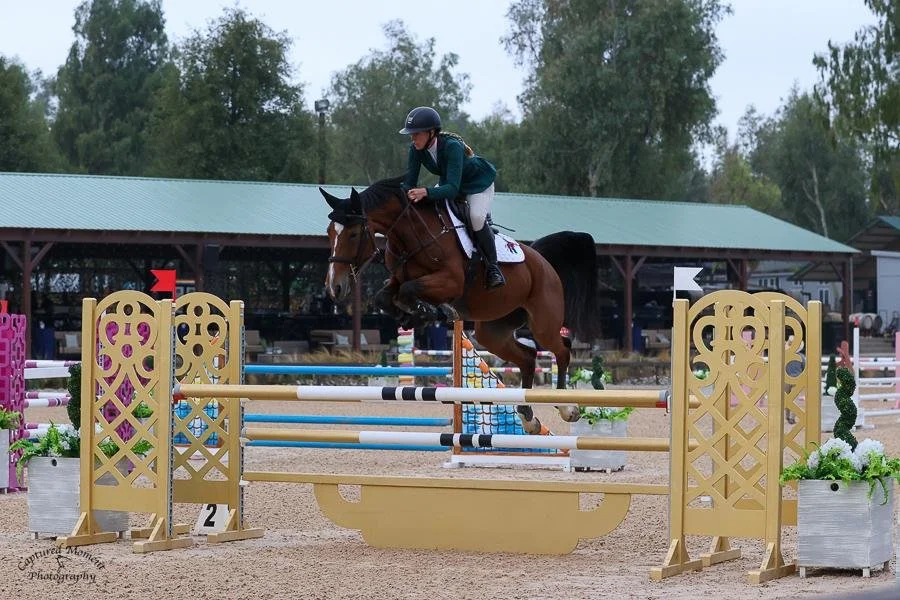 A female equestrian rider on a brown horse jumping over a yellow obstacle with decorative panels, in an outdoor show jumping arena with trees and a shelter in the background.