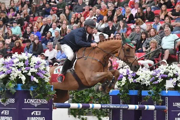 Equestrian rider jumping over an obstacle during a horse jumping event in front of a large audience.