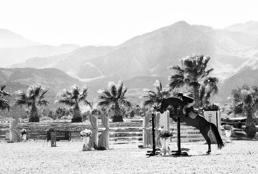 A horse jumping over a hurdle at an outdoor equestrian event with palm trees and mountains in the background in black and white.