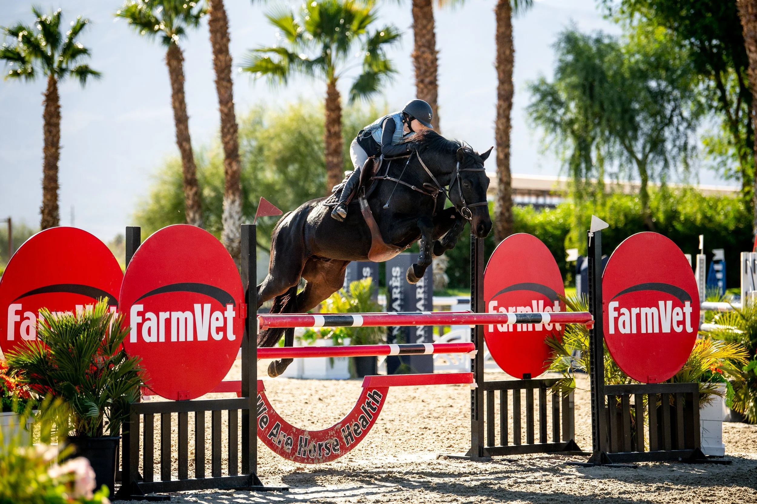A person riding a black horse participating in an equestrian jumping competition outdoors, with palm trees in the background and red promotional banners with the 'FarmVet' logo surrounding the jump.