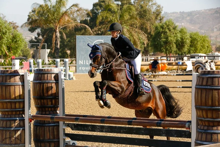 Equestrian rider in black jacket and white pants riding a brown horse over a jump in a horse jumping competition.