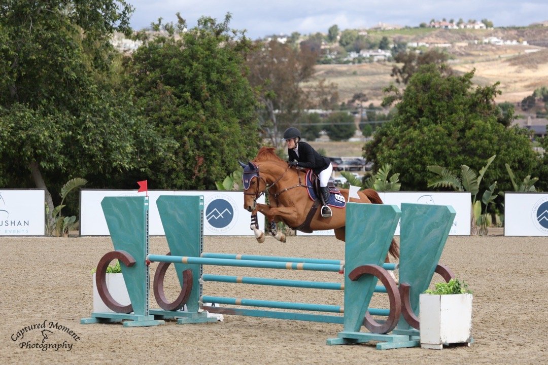A female equestrian athlete riding a horse while jumping over a show jumping obstacle in an outdoor arena.