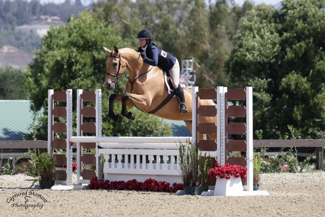 A rider in equestrian gear jumping over a hurdle on a horse during a show jumping competition outdoors.